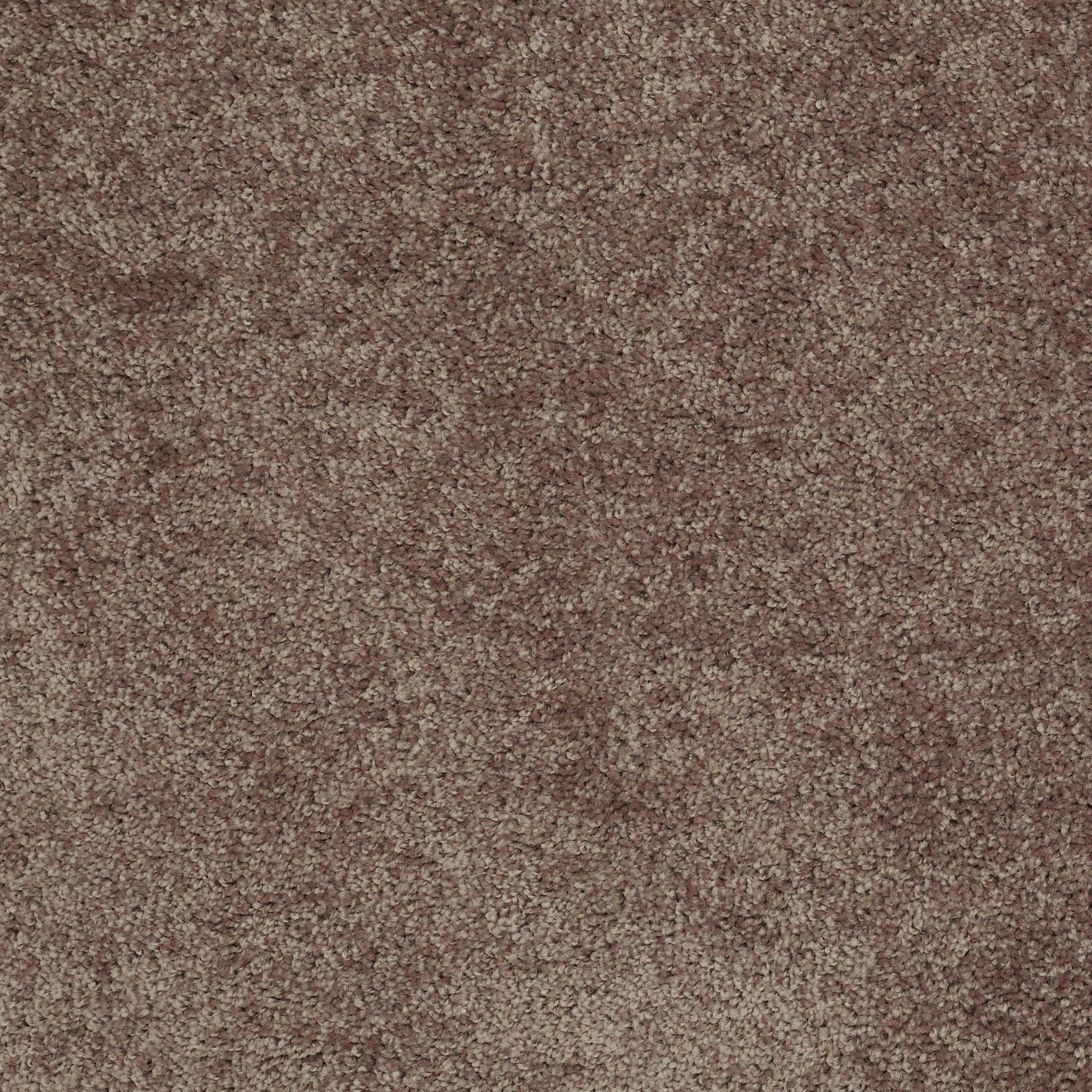 UNION CITY I 15 CATTAIL MAIN