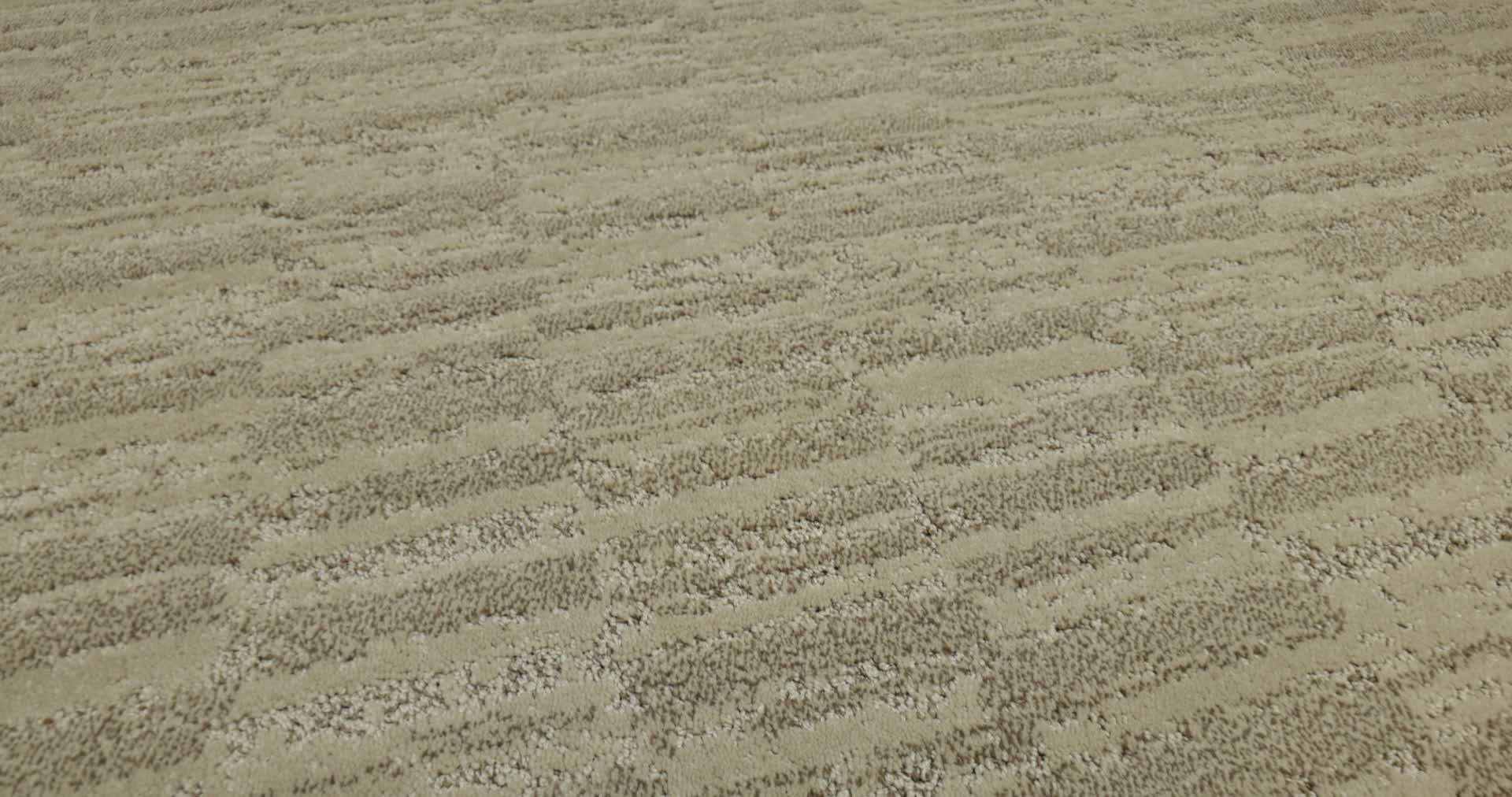 TRACE CANYON 360PROD