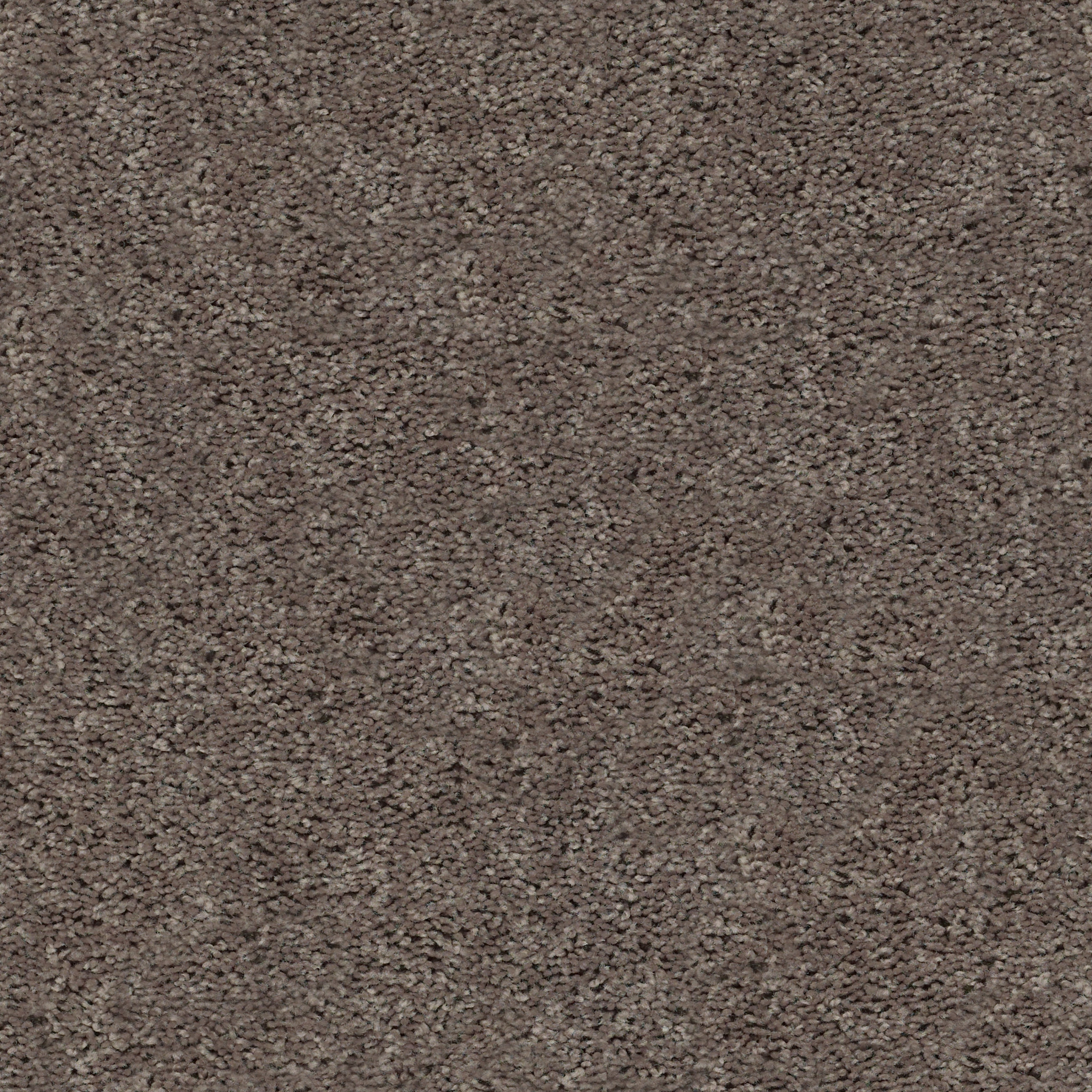 BREAK AWAY - SOLID WEATHERED WOOD MAIN