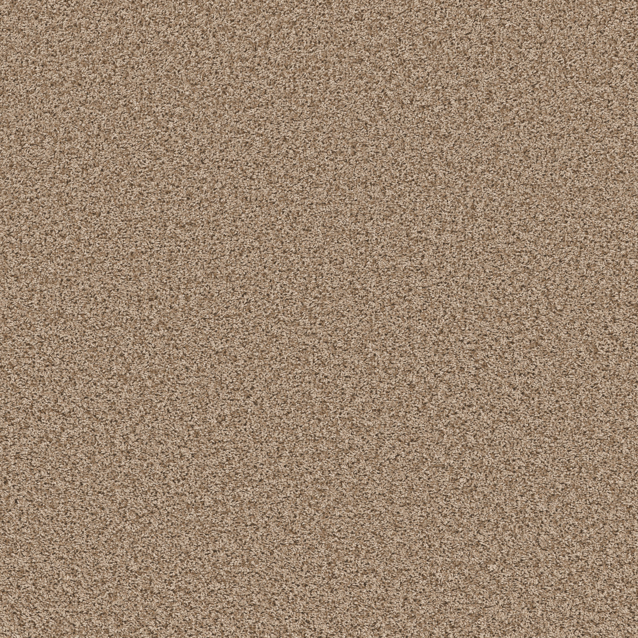 COLOR FLAIR TOAST MAIN