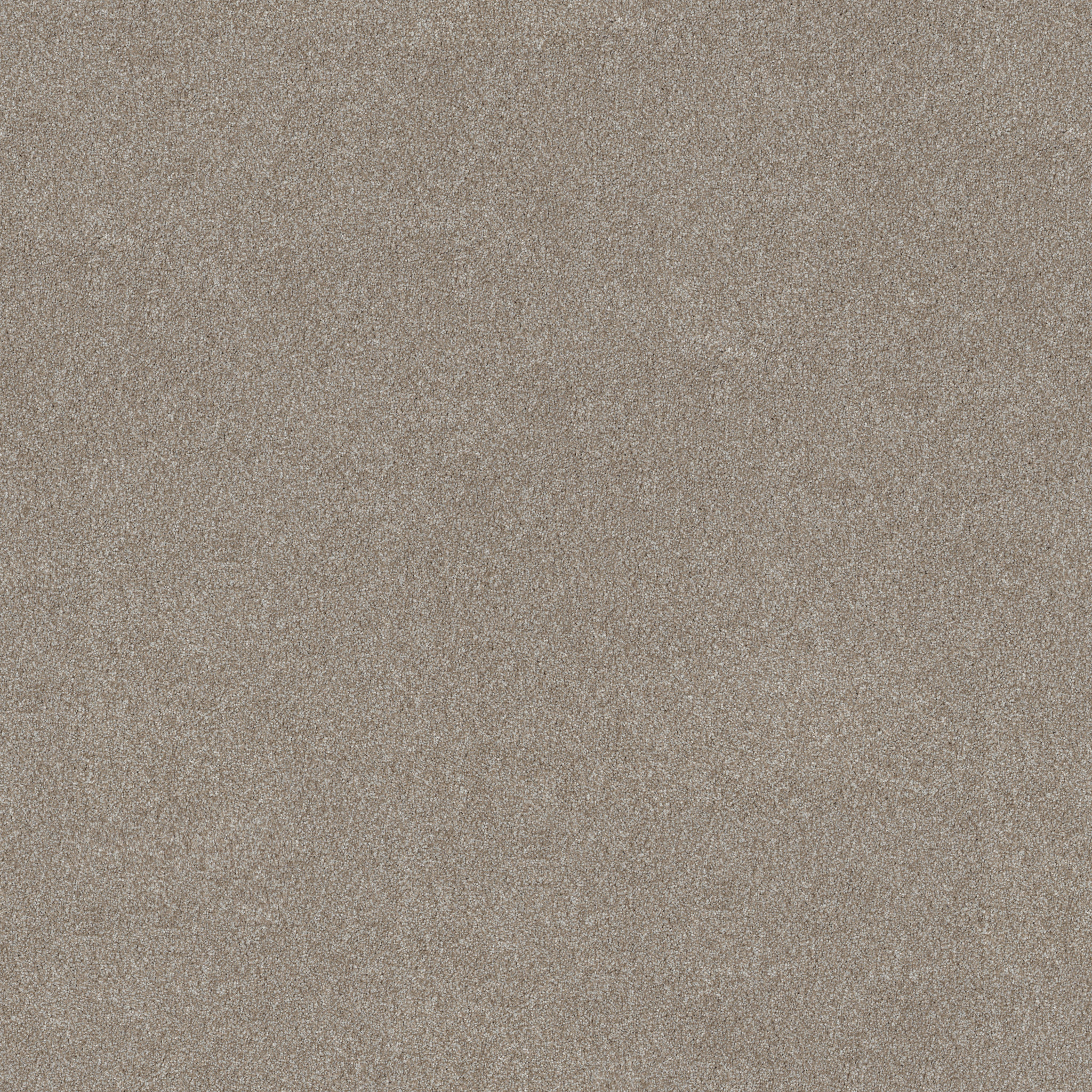 GOOD MOVE II WINTER DUNES MAIN