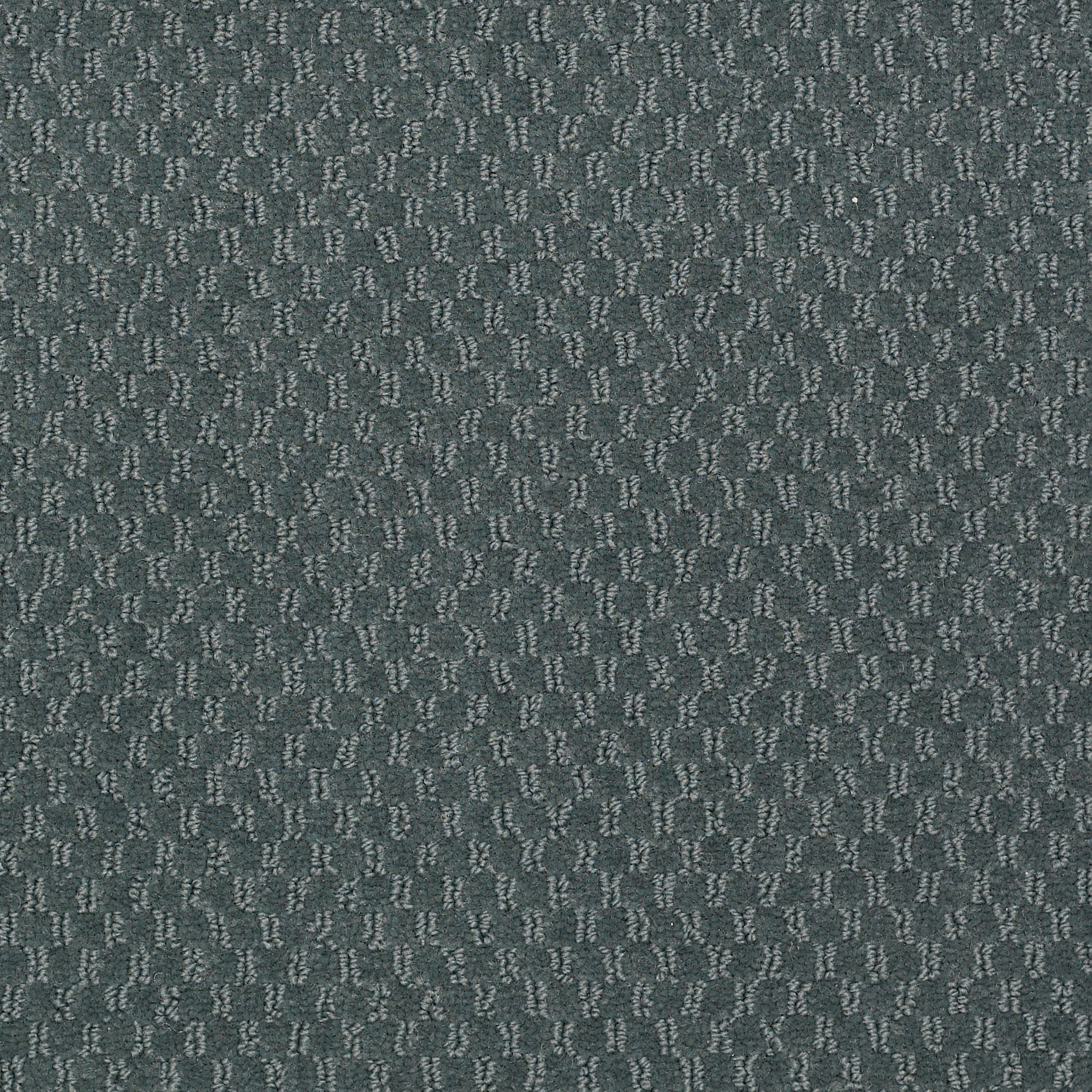 LATEST-TREND-54098-WILLOW-HEDGE-98304-main-image