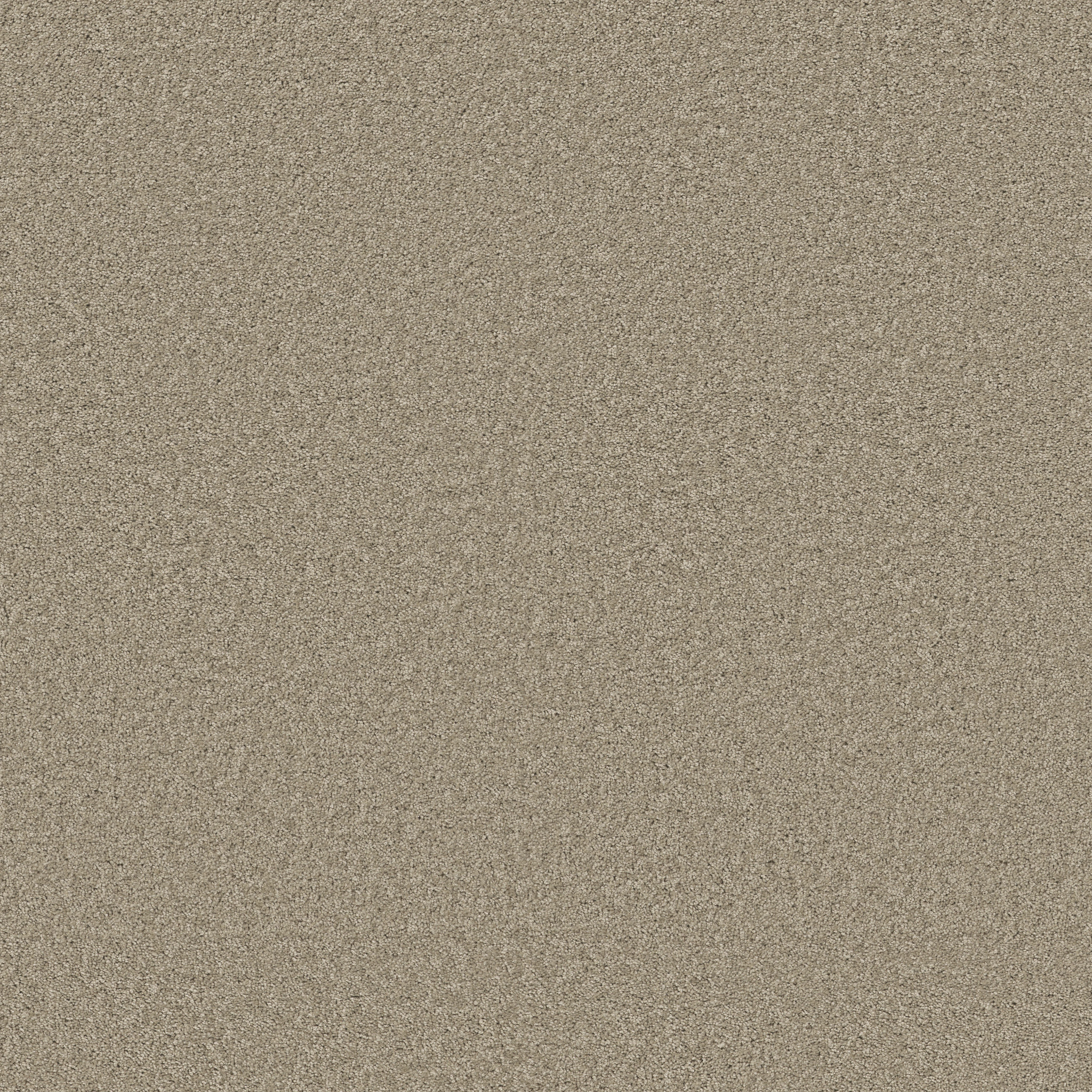 LAGUNA BEACH COASTAL FOG MAIN