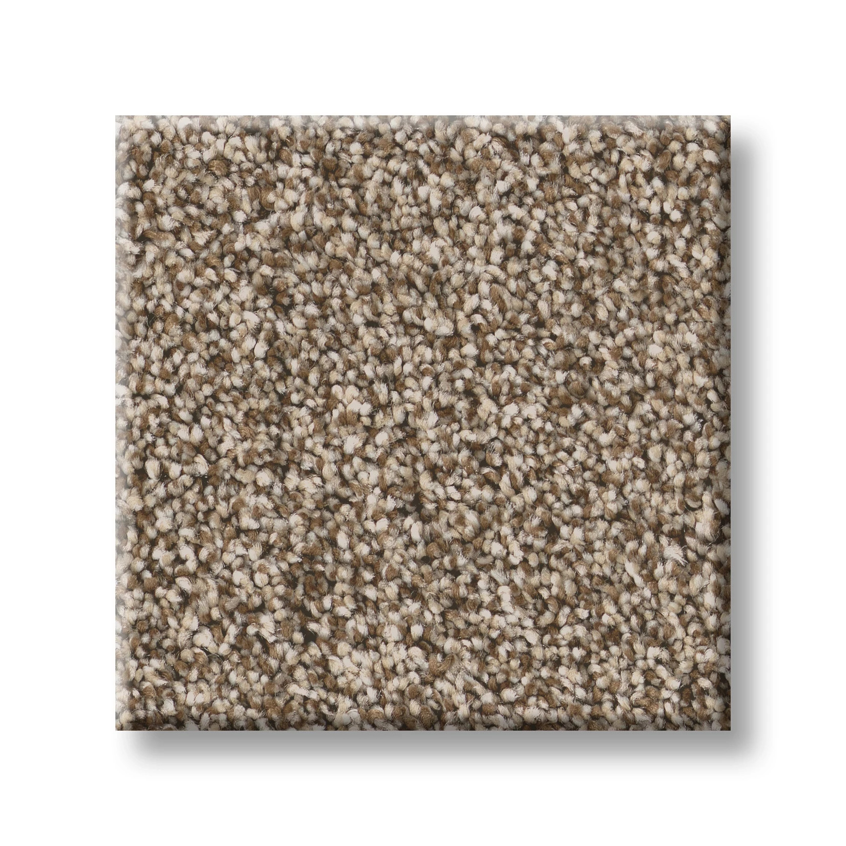 ARTISTIC FUSION II CAMEO SWATCH