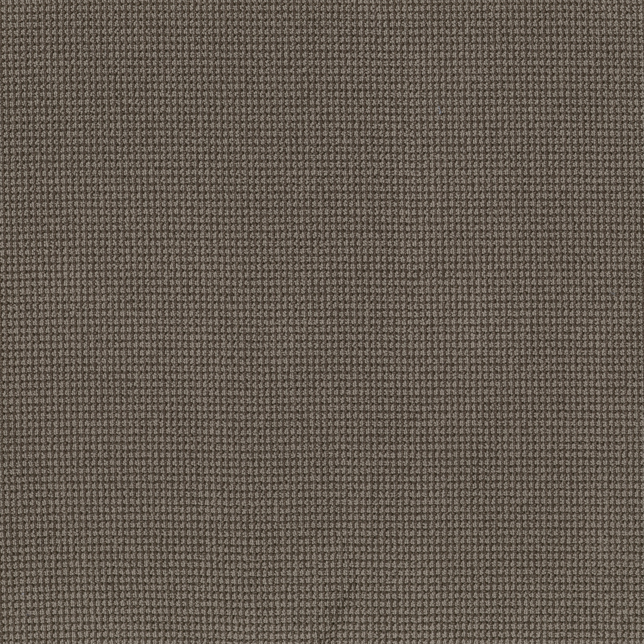 INSPIRED METEORITE MAIN