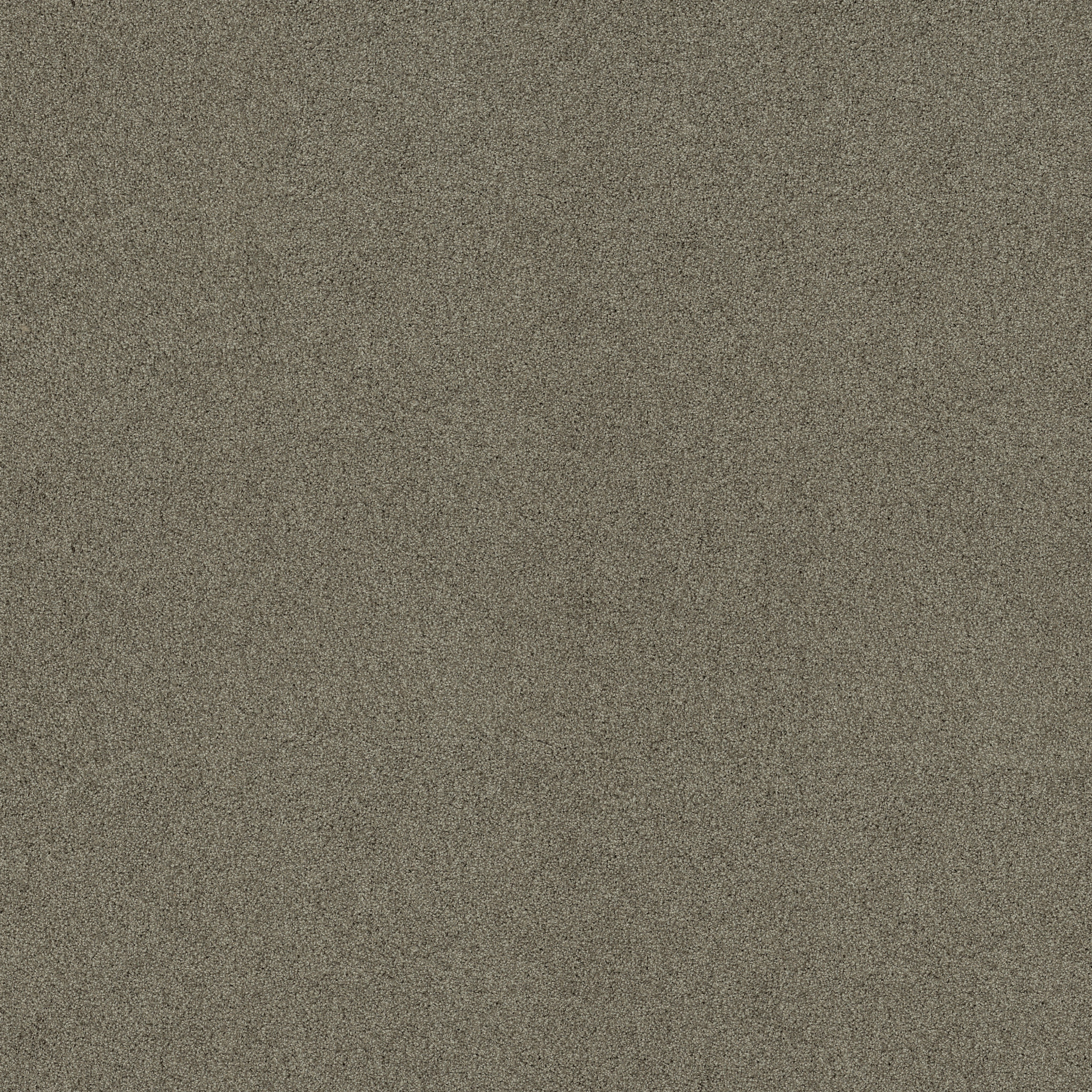 ACADIA PARK CITY GRAY MAIN