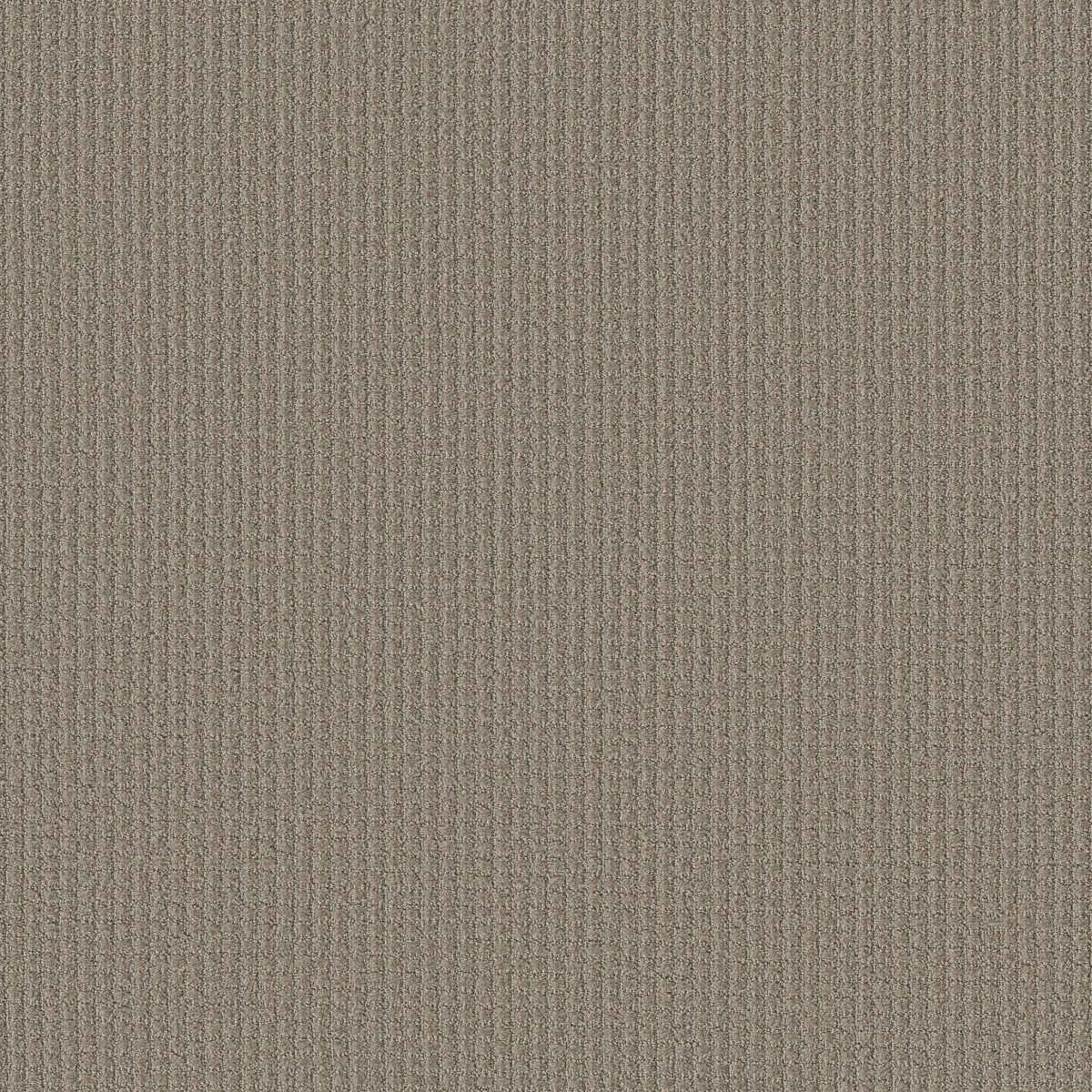 AERIAL ARTS — ARTISAN TAUPE