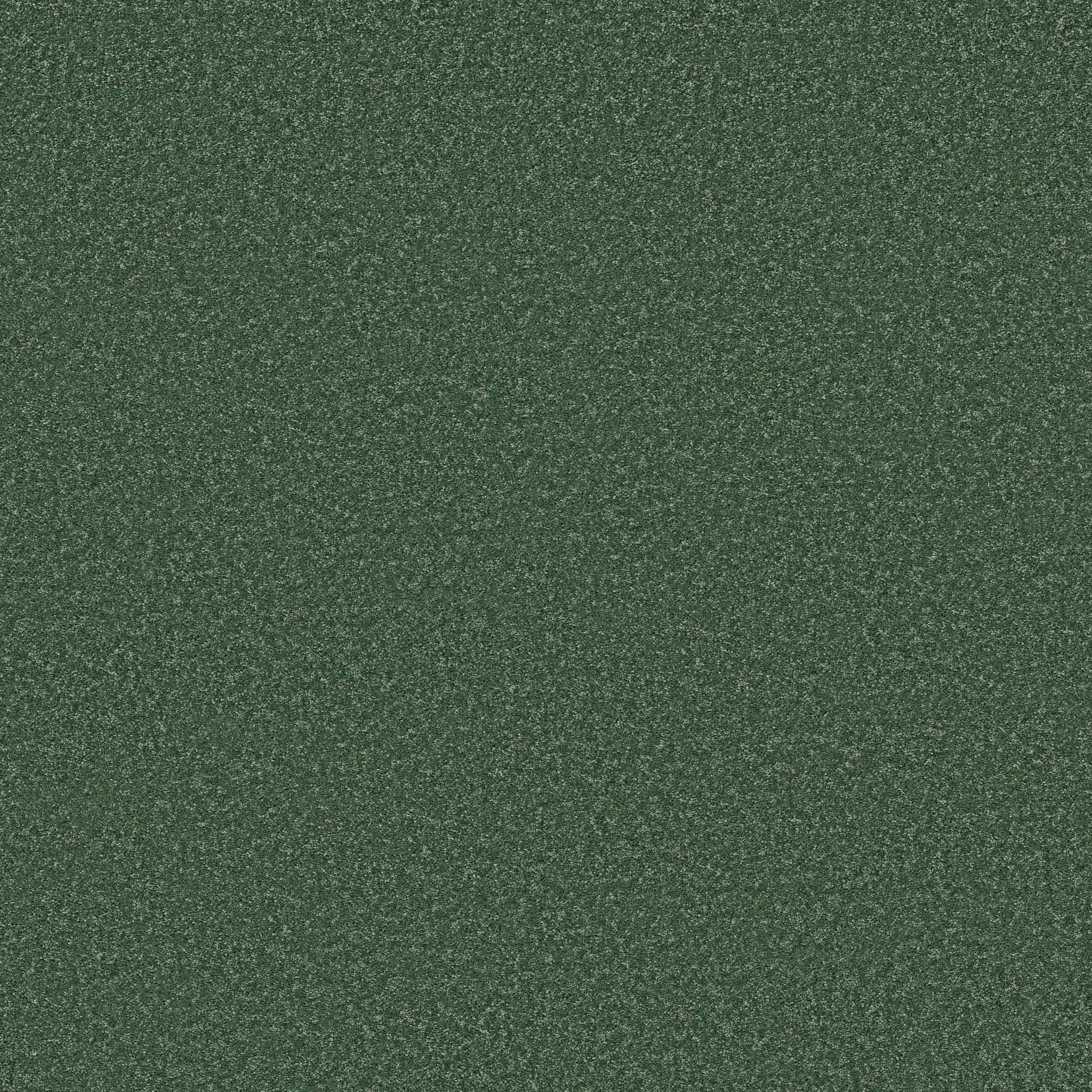 THE BRIGHT SIDE FUZZY FEELING MAIN