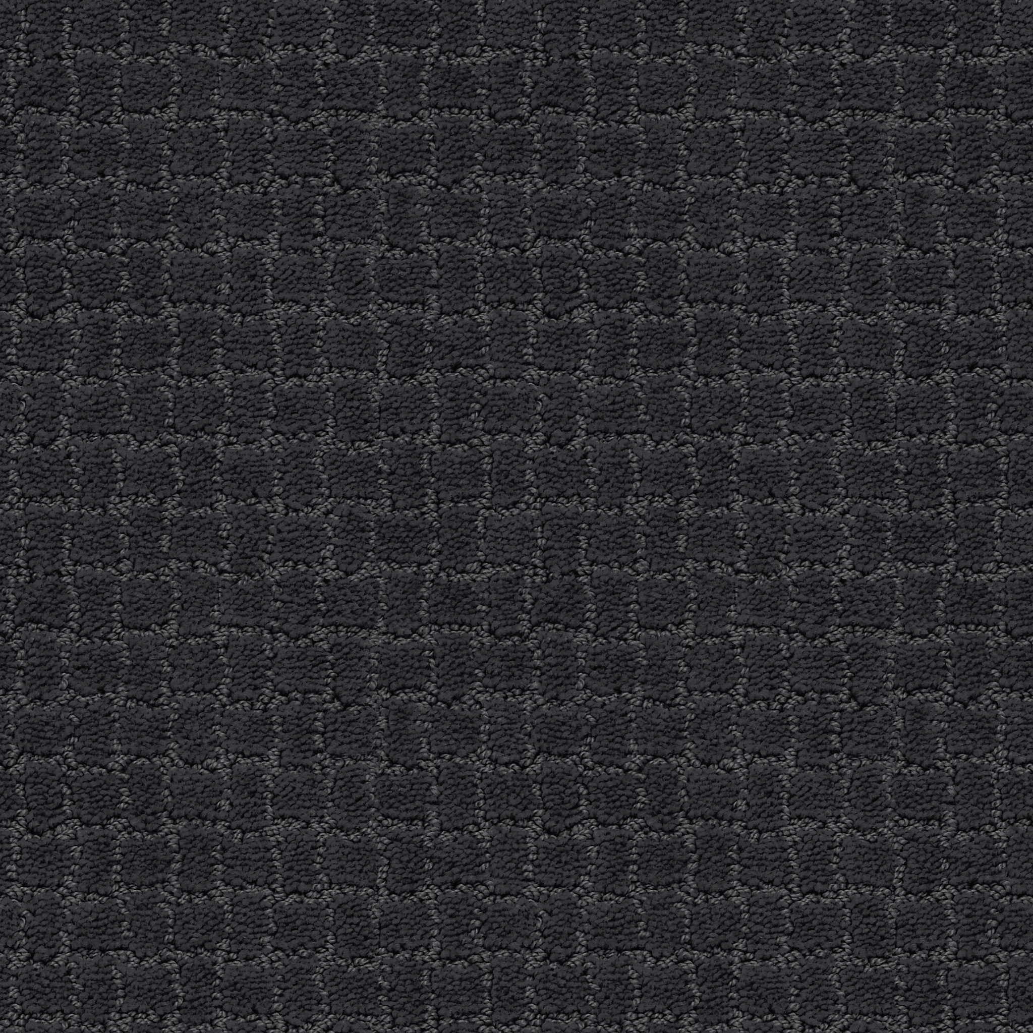 PAWSTRUCK NIGHT SHADE MAIN