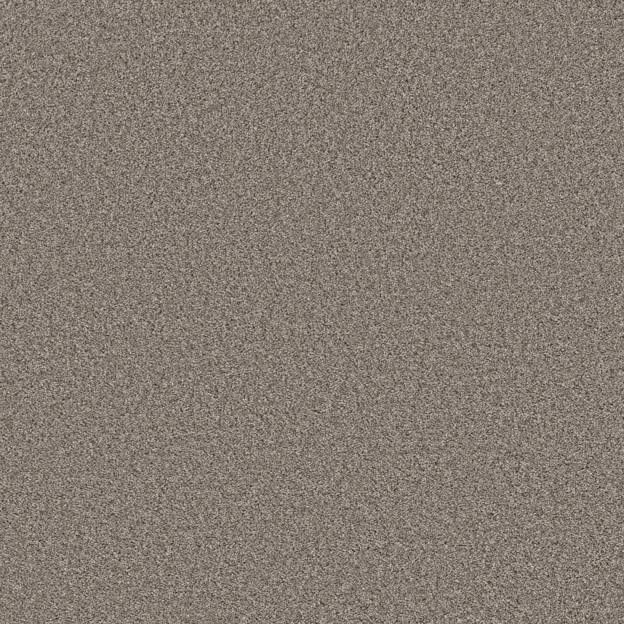 BEST YET GRAPHITE MAIN