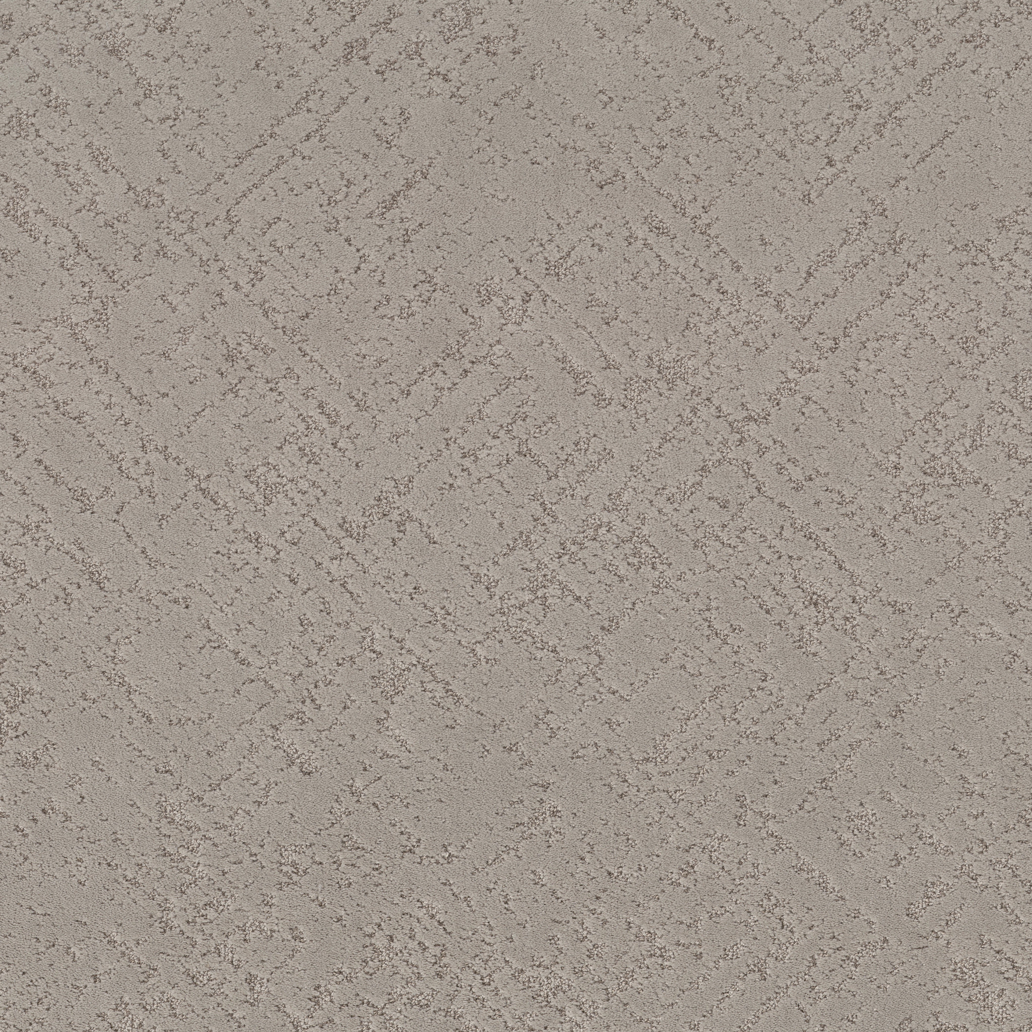 SINCERE FOCUS MUSHROOM MAIN