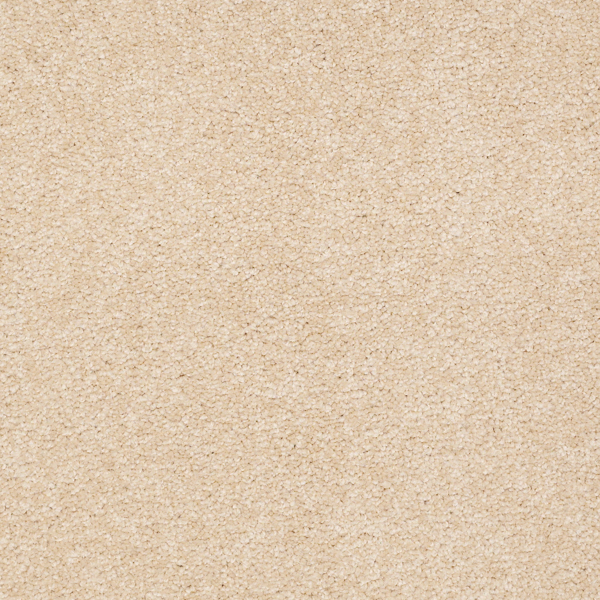 SOPHISTICATION 15' MARZIPAN MAIN