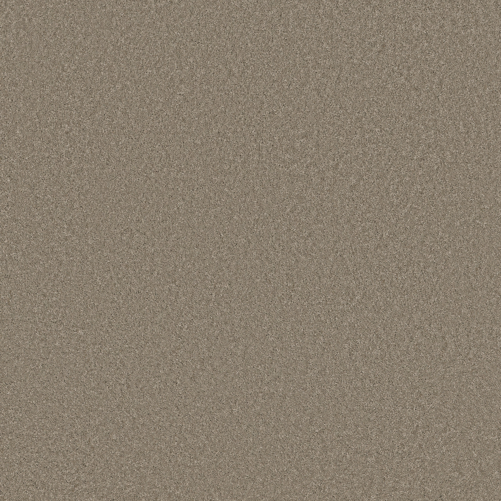 ENCHANTING ATMOSPHERE MAIN