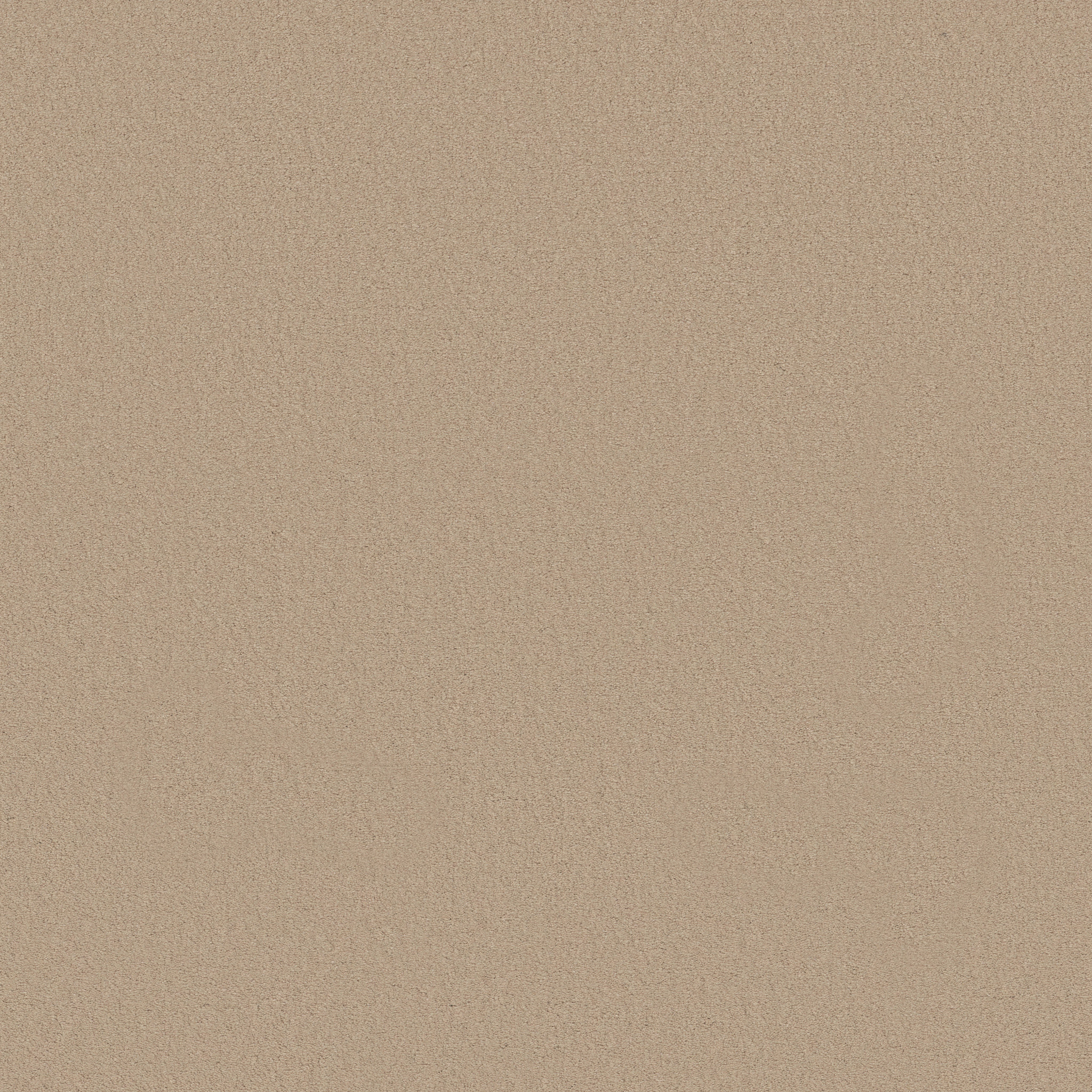 FINERY CASHMERE MAIN