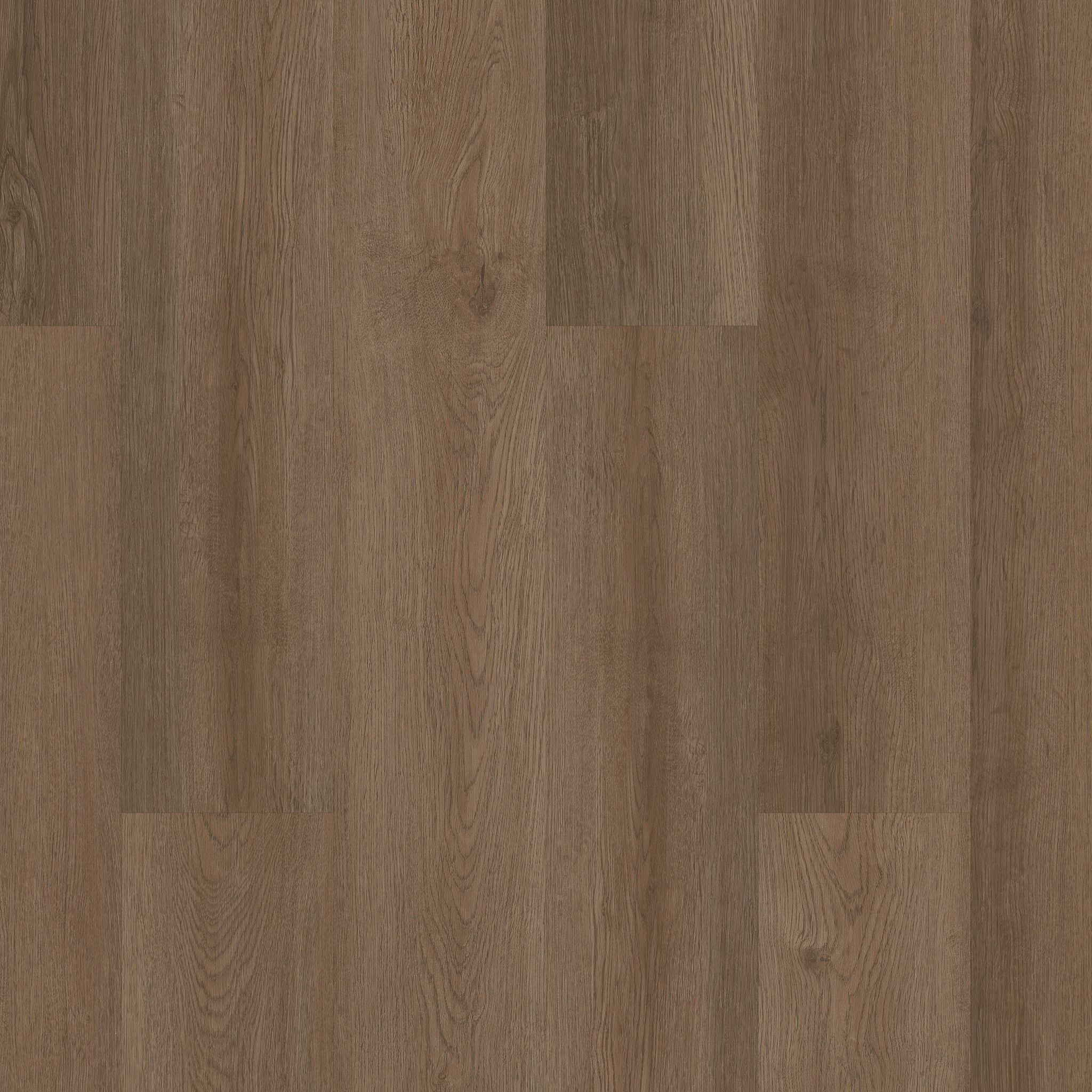 Infinite 8 - in Raw Sienna | Shaw Floors