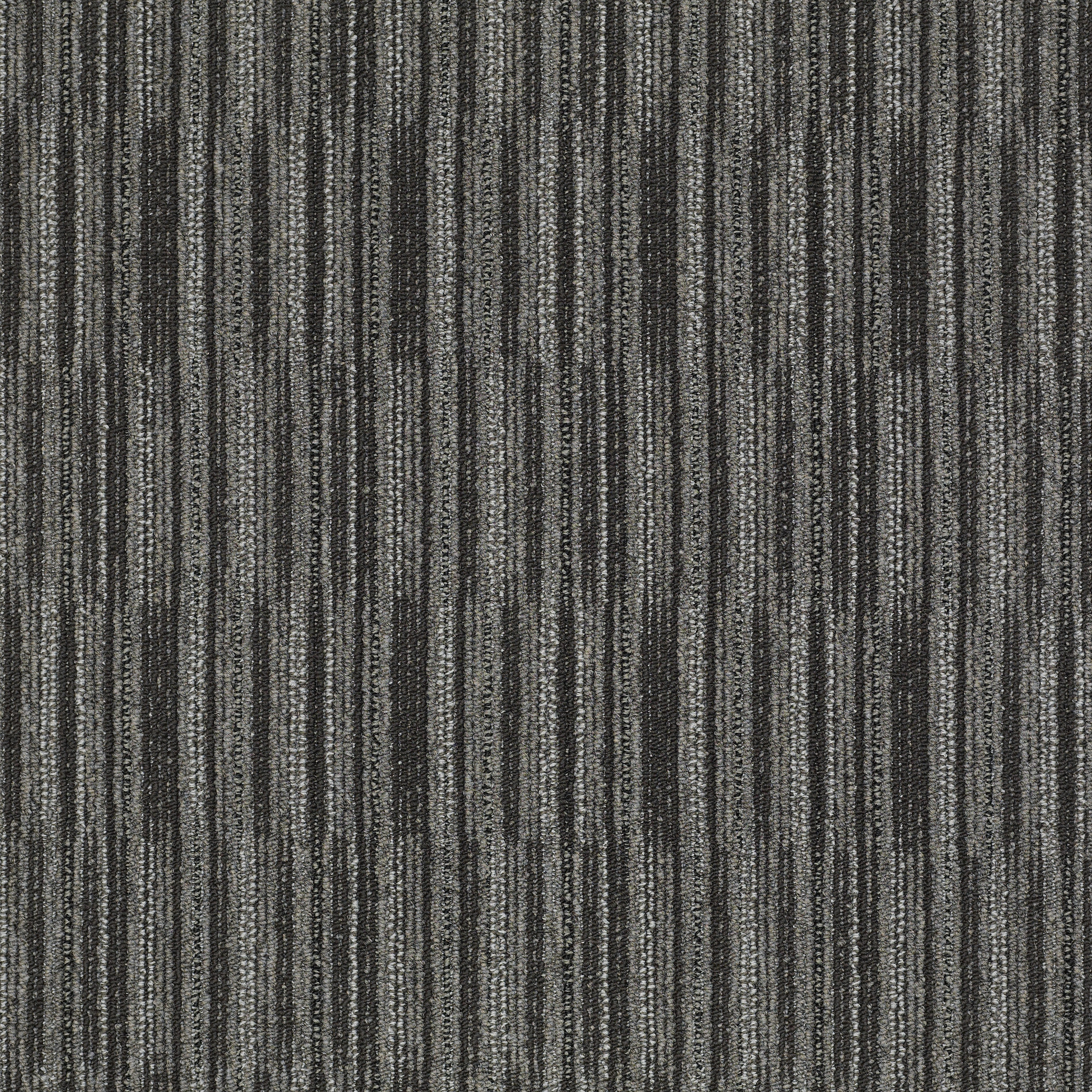 CUTAWAY-J0181-MODEL-81503-main-image