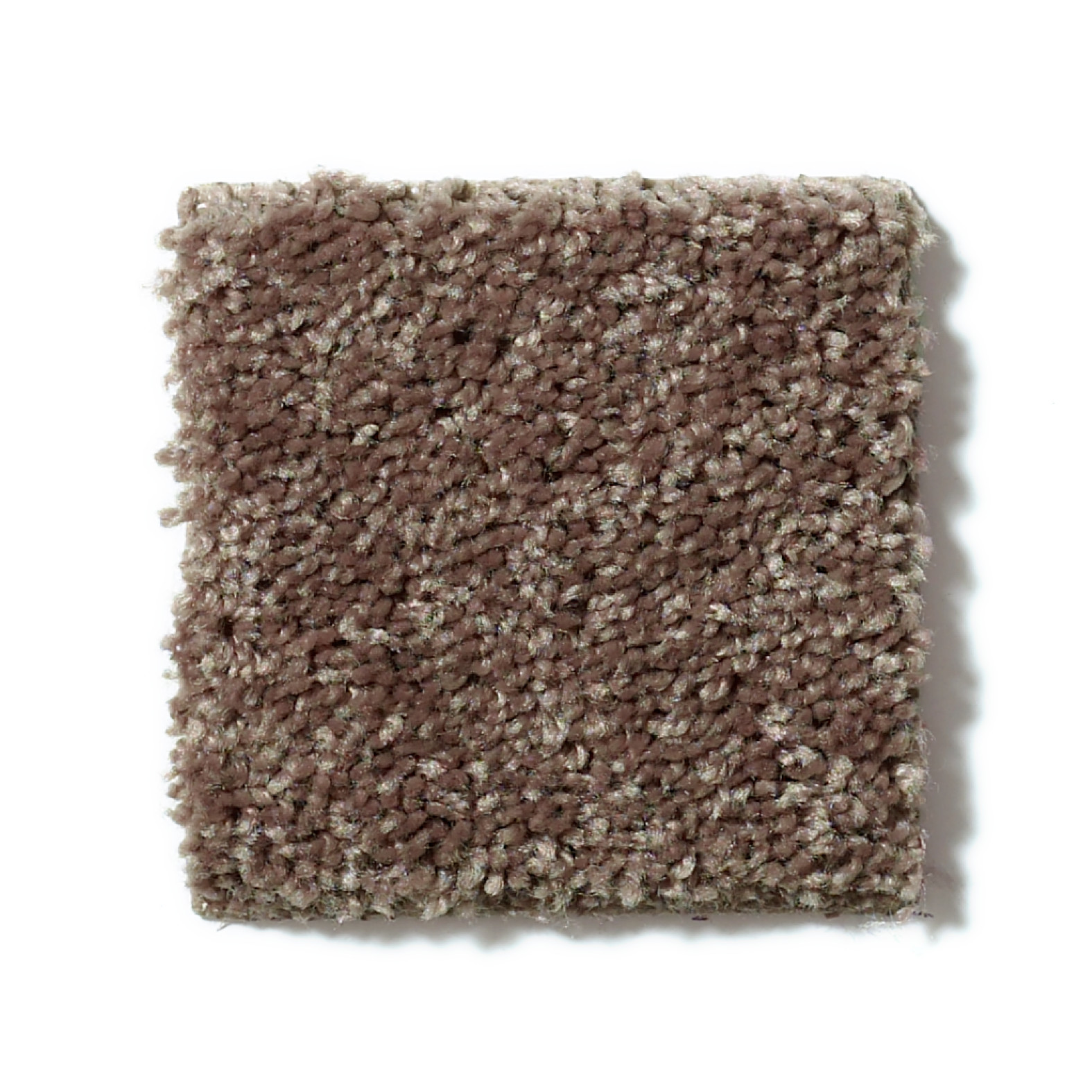 ALL STAR WEEKEND III 12' CATTAIL SWATCH