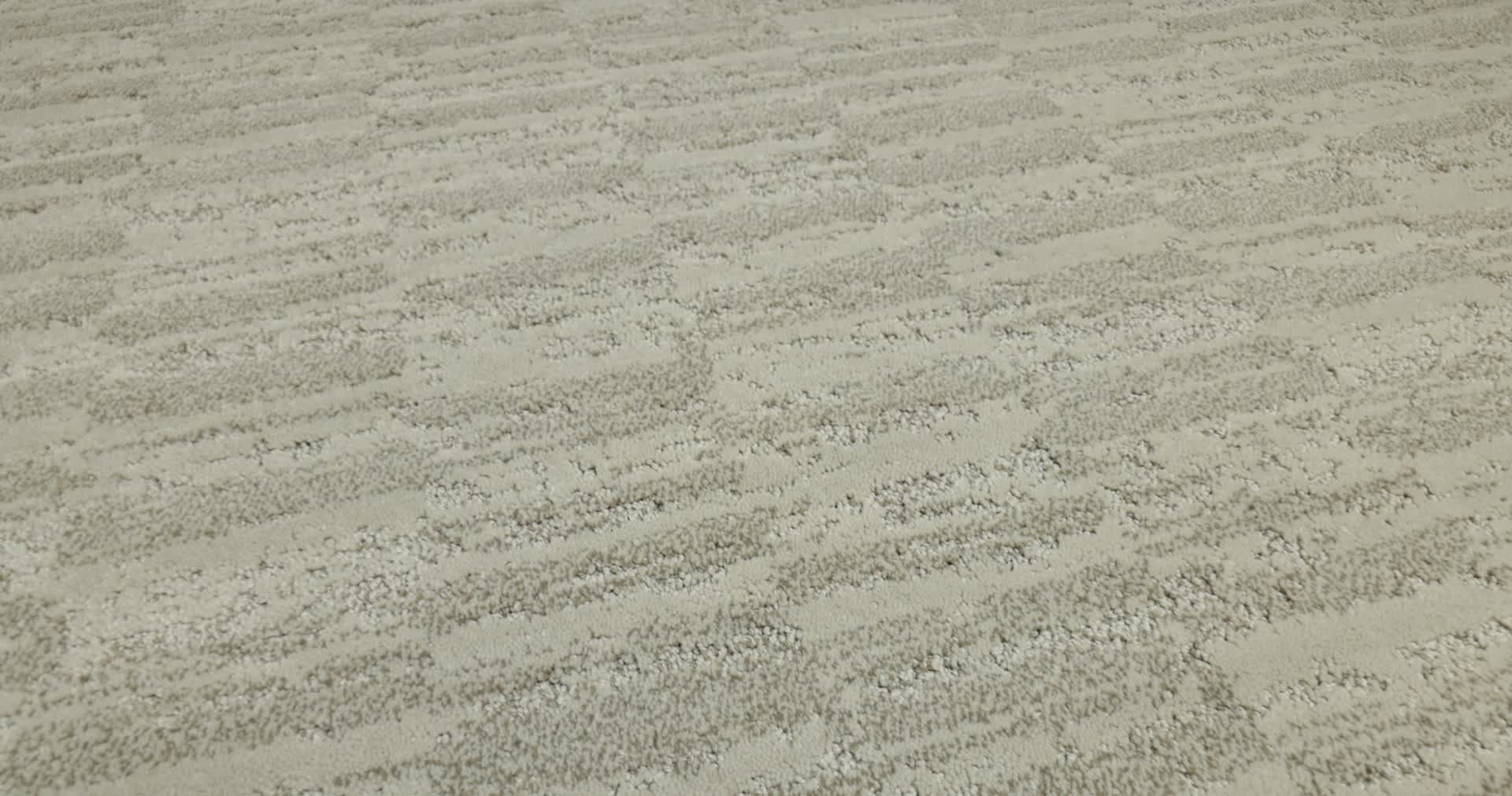 TRACE VICUNA 360PROD