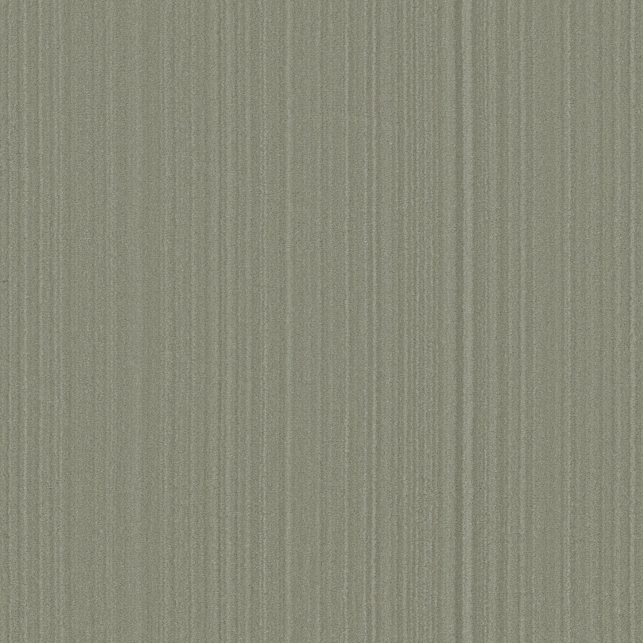 MAGNIFIQUE MOSSY GROVE MAIN