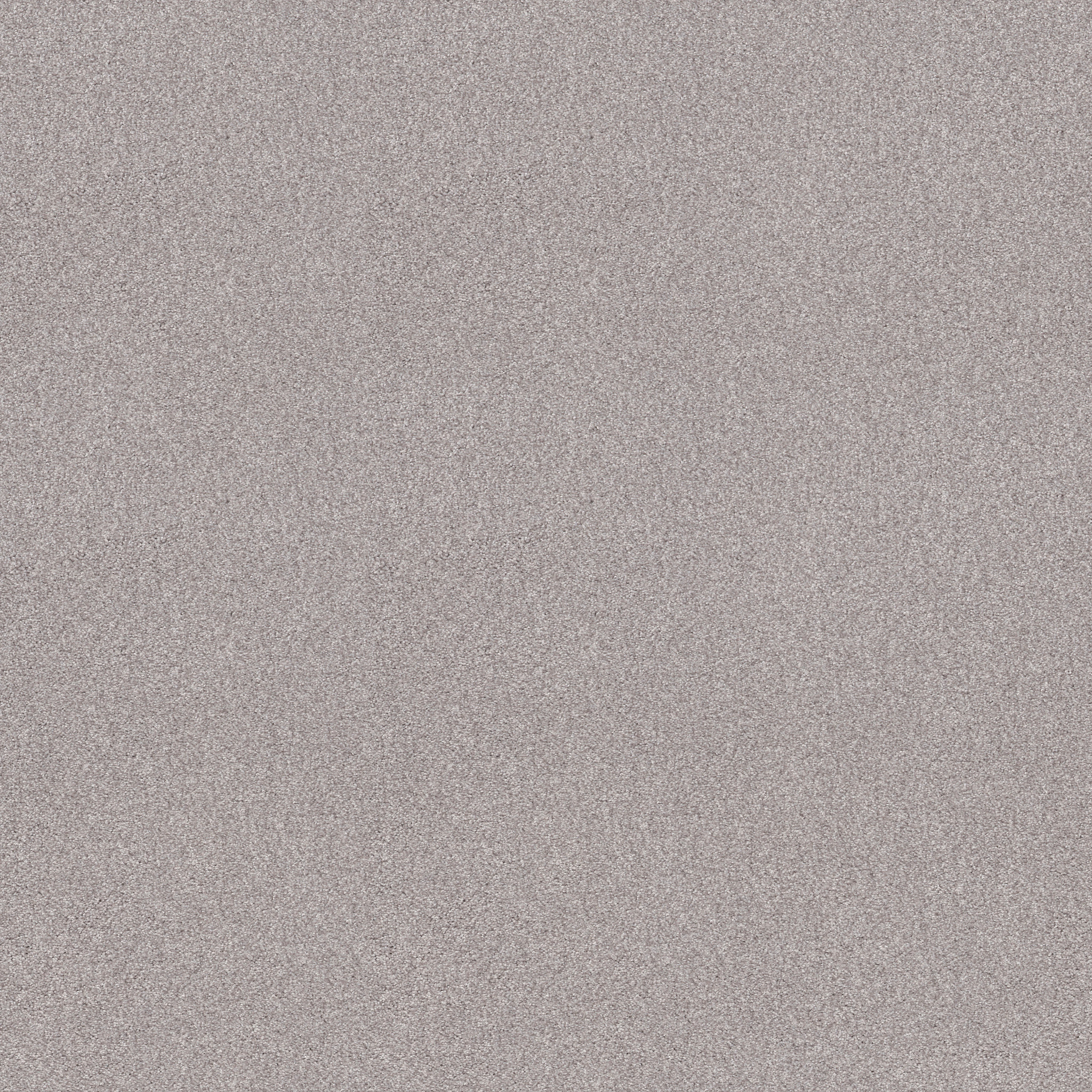 TONAL COMFORT I DREAMY MAIN