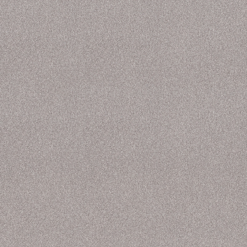 FIND YOUR COMFORT I in Tonal -  Dreamy (T) by Shaw Floors