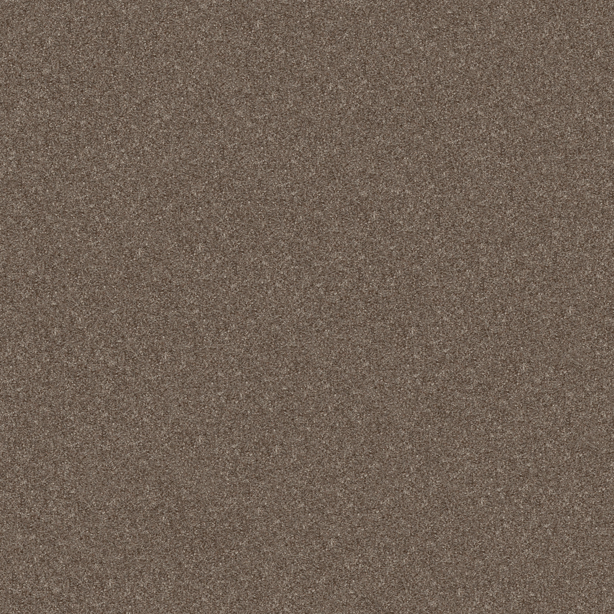 GO AFTER IT 1 TREE HOUSE MAIN