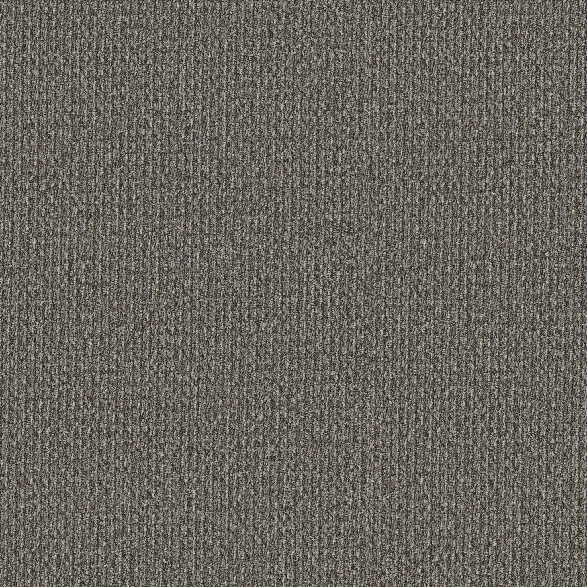 PRELUDE-54990-HARBINGER-00505-main-image