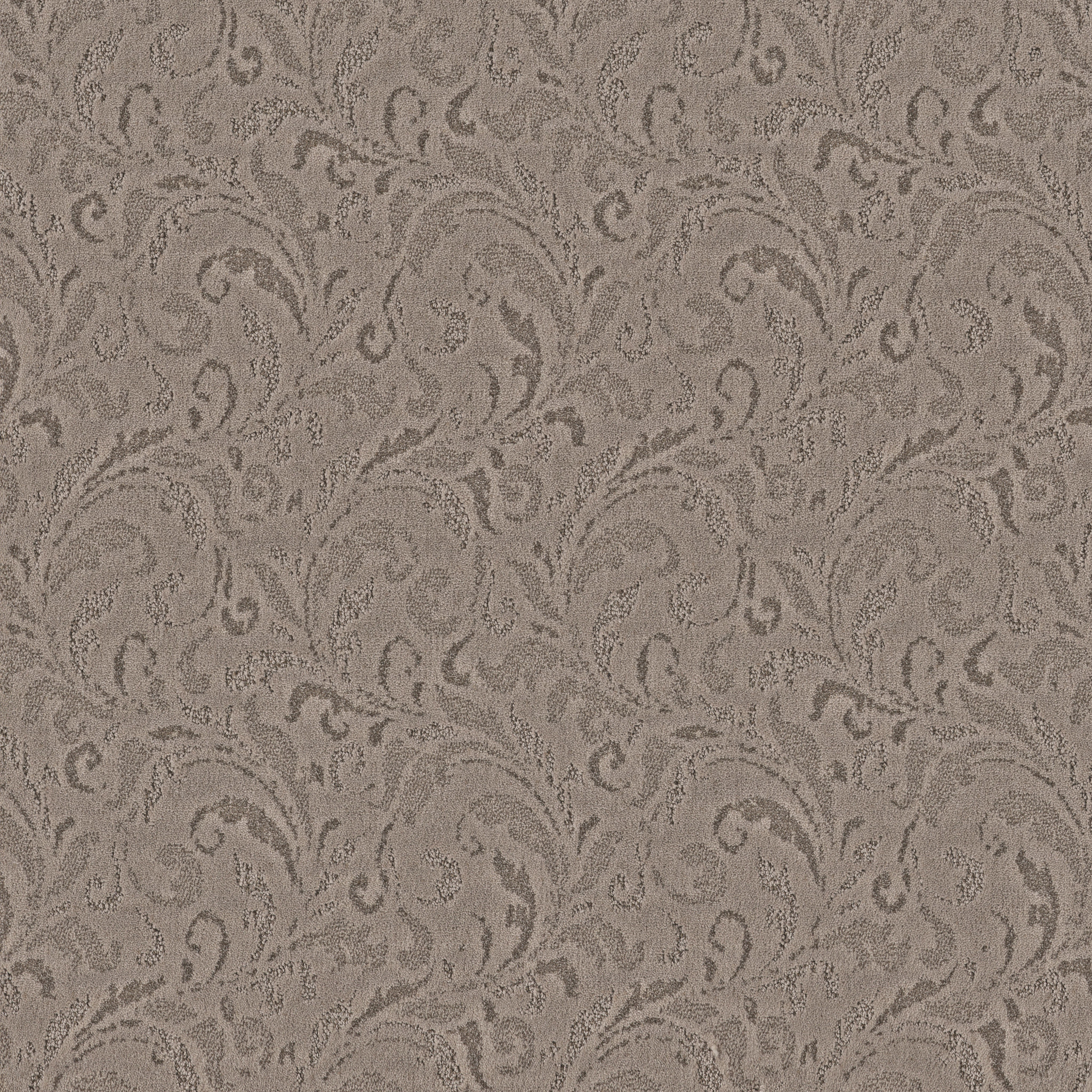 CHARISMATIC TOASTY GRAY MAIN