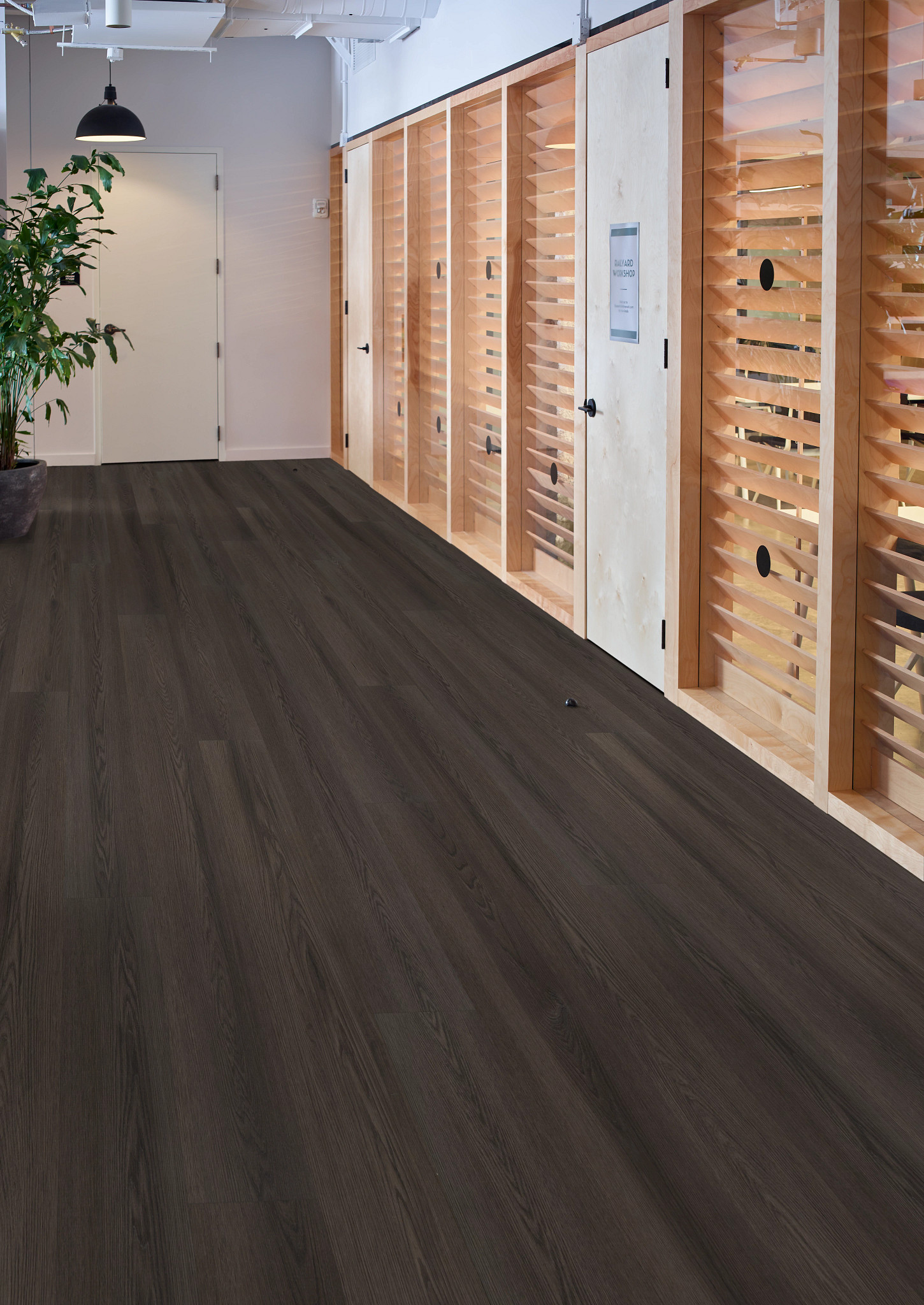 PHILOSOPHER'S-TREE-5599V-BURNISHED-TIMBE-00709-room-image