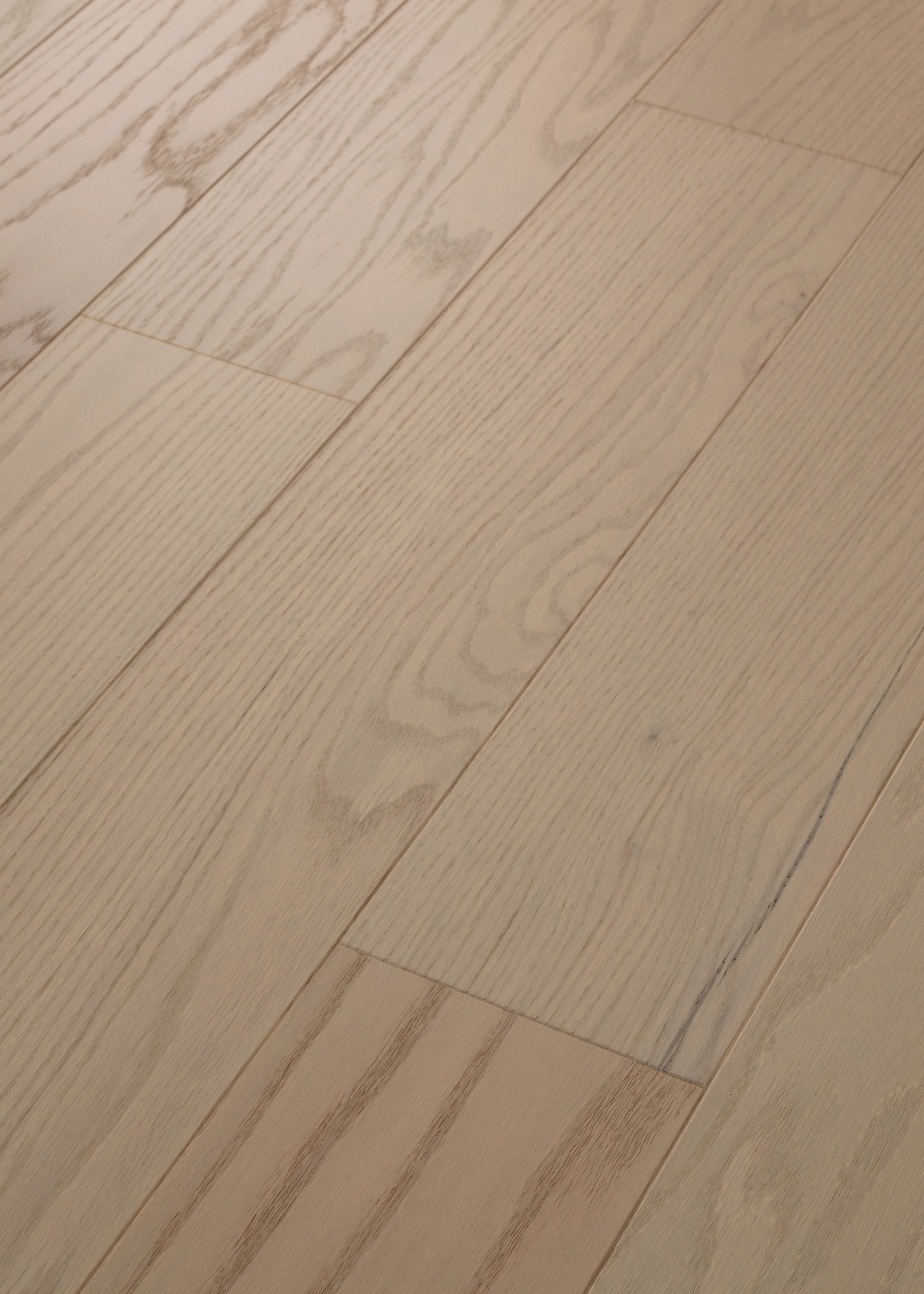 SANCTUARY OAK HAVEN ANGLED