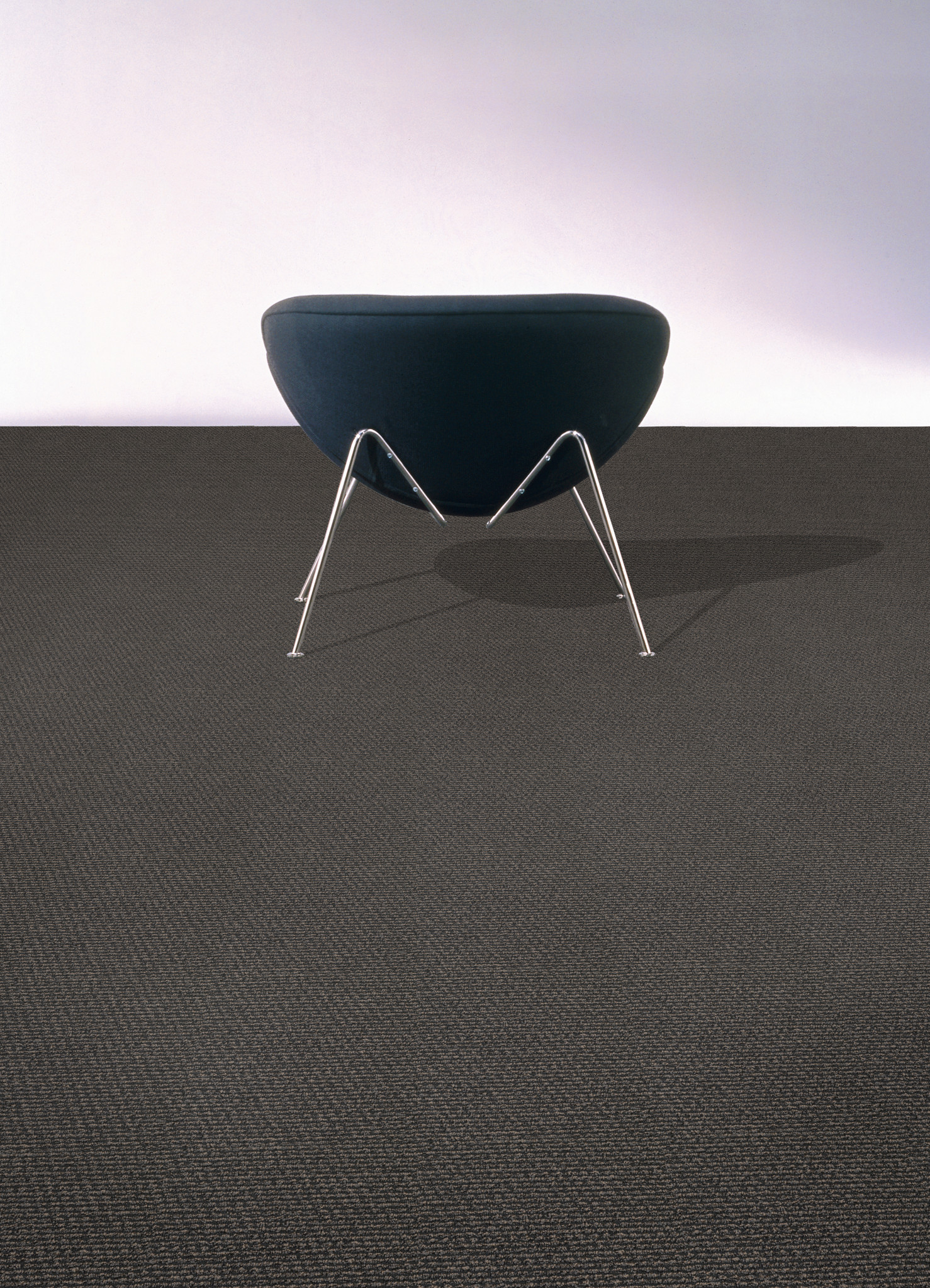 Terra Sequoia Feature 1
