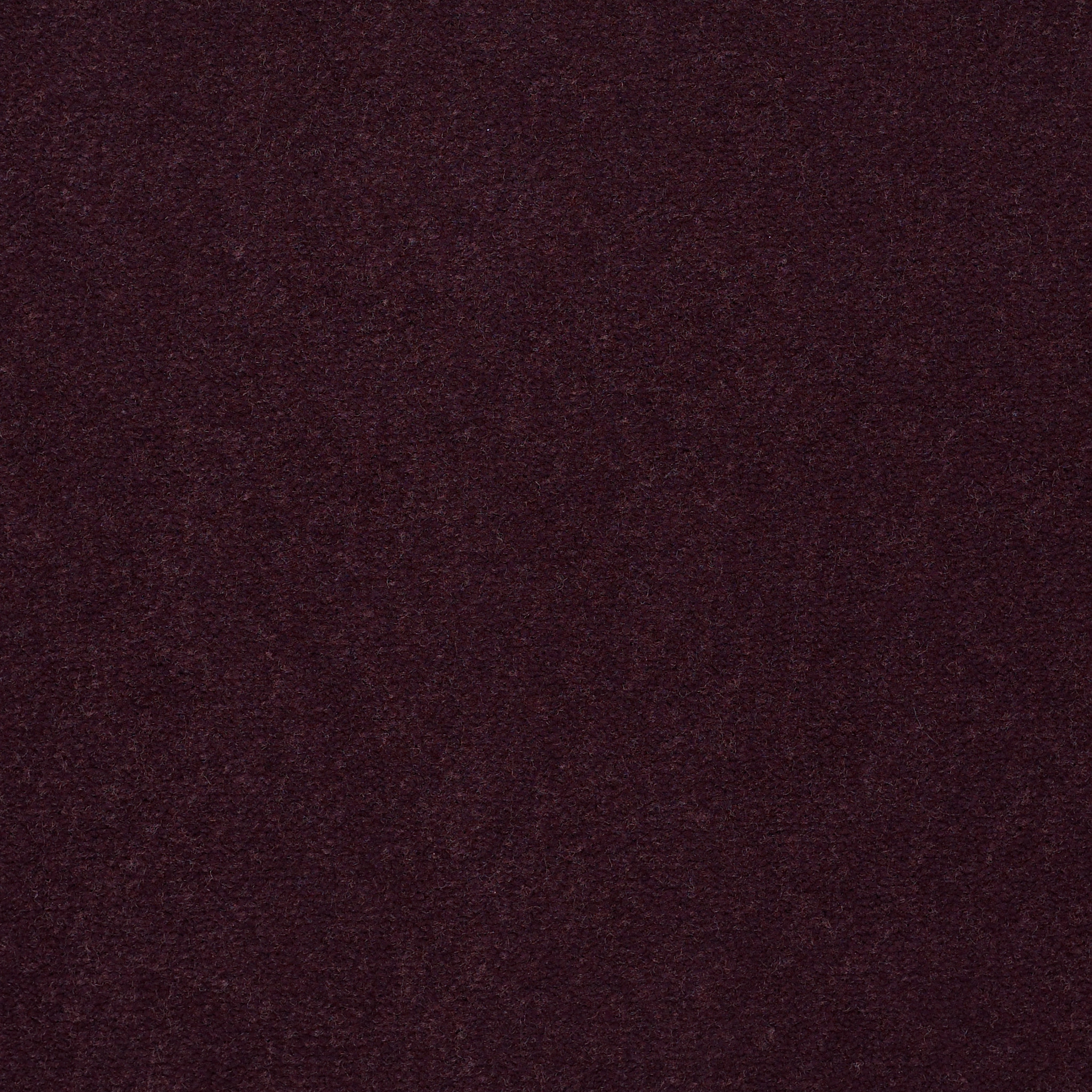 EMPHATIC-II-30-54255-PERFECT-PLUM-56995-main-image