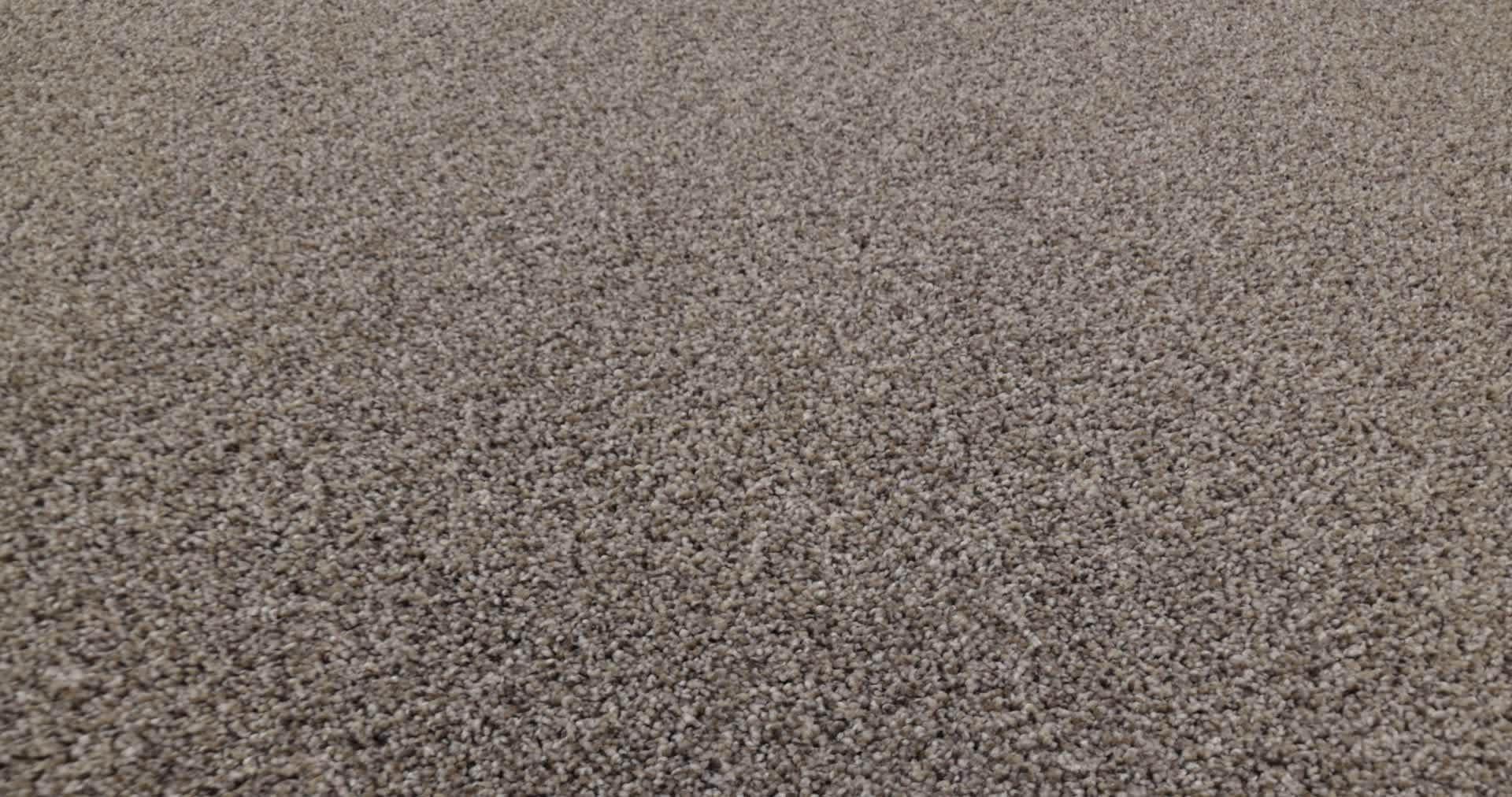 ELEVATED III PERFECTION 360PROD