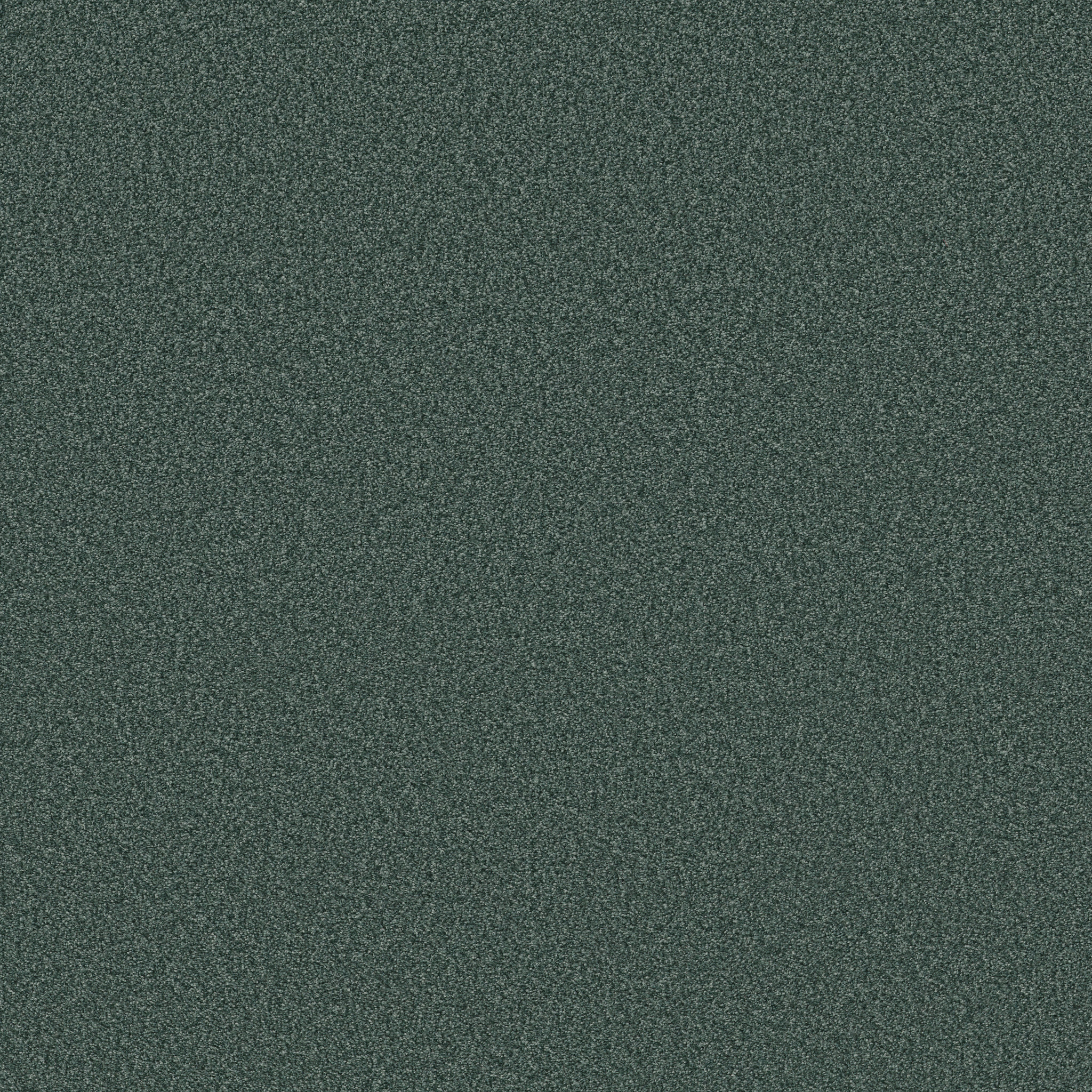 TONAL COMFORT I BOLD MOVES MAIN