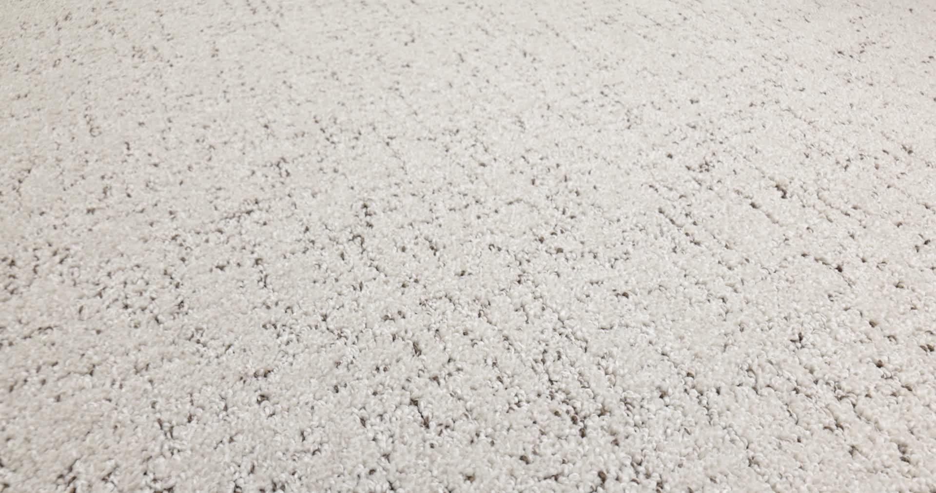 Run Free RIVER BIRCH 360PROD