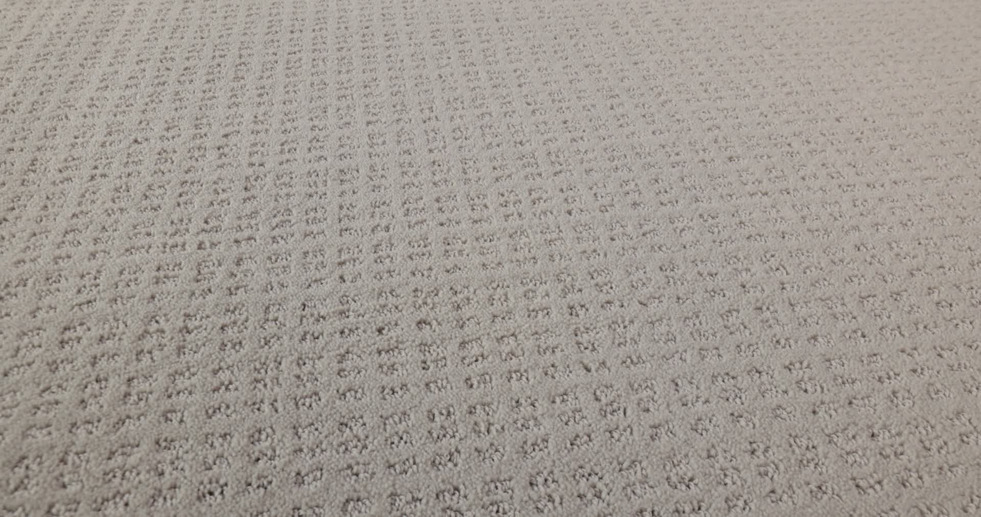 ESSENTIAL NOW SPLIT SEDIMENT 360PROD