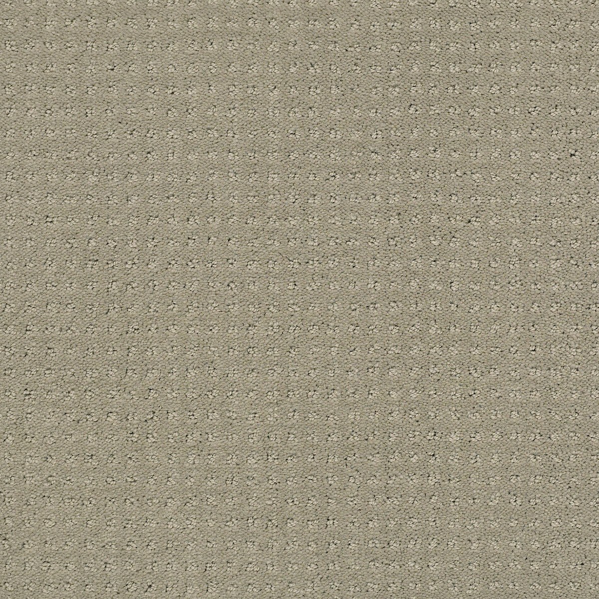 Shaw Floors MY CHOICE PATTERN — ASH