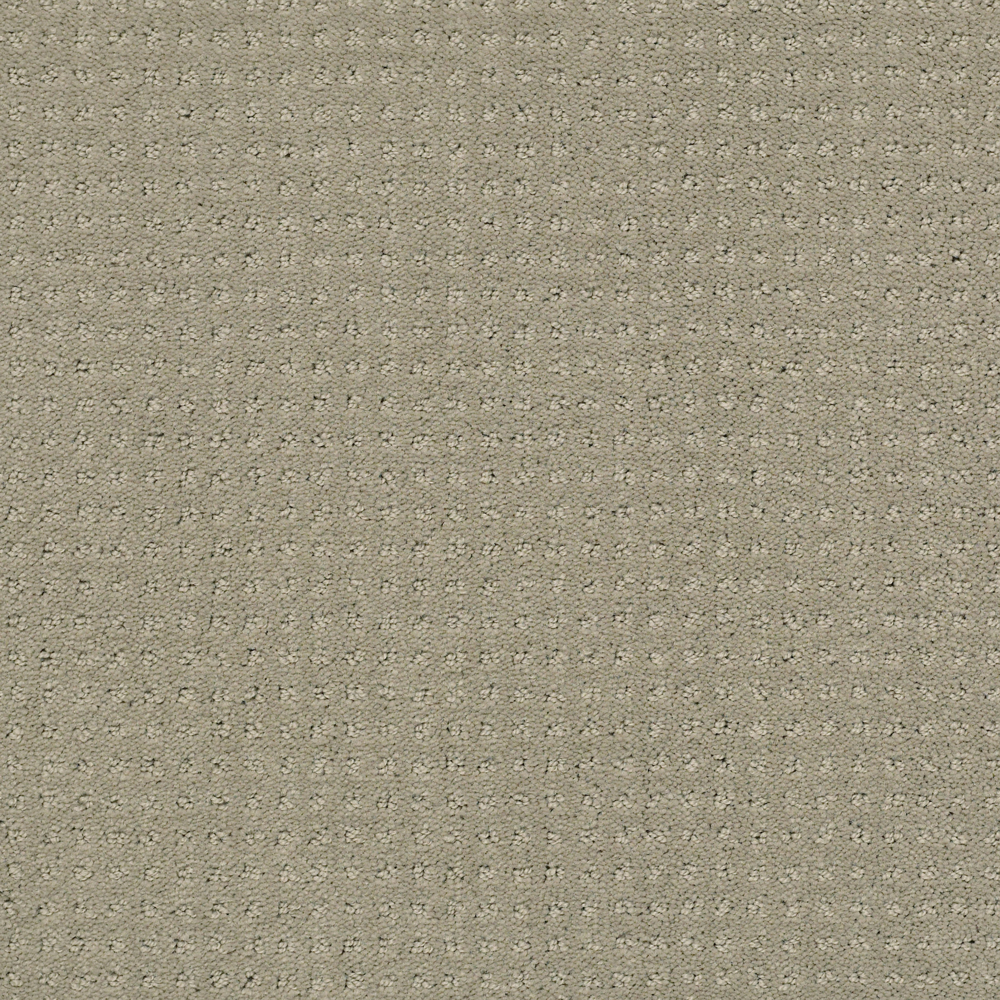 PERPETUAL MOVE LADY IN GRAY MAIN