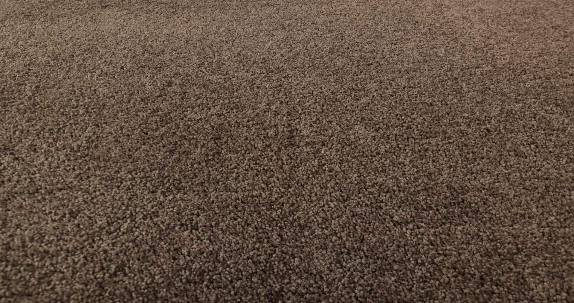 BEAUTIFULLY SIMPLE MAPLE 360PROD