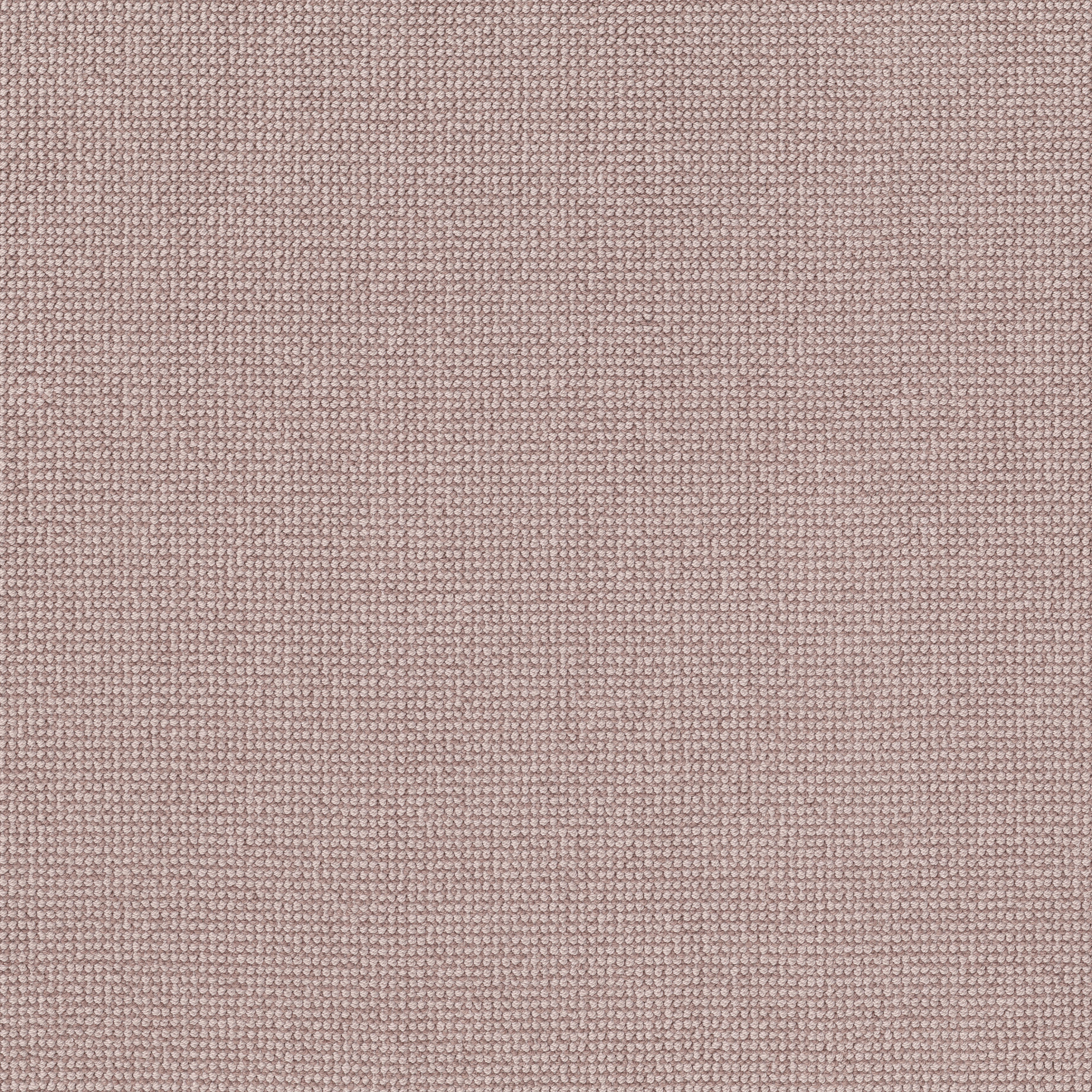 ALLURING BLOSSOM MAIN