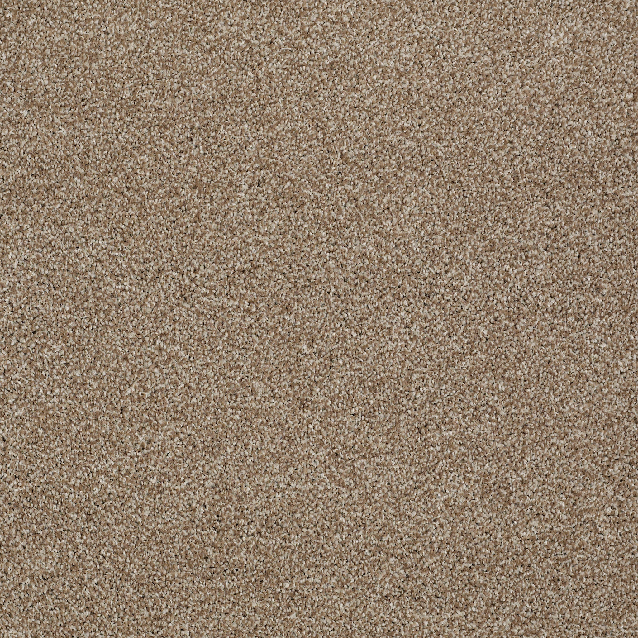 ALWAYS READY II SUMMERVILLE MAIN