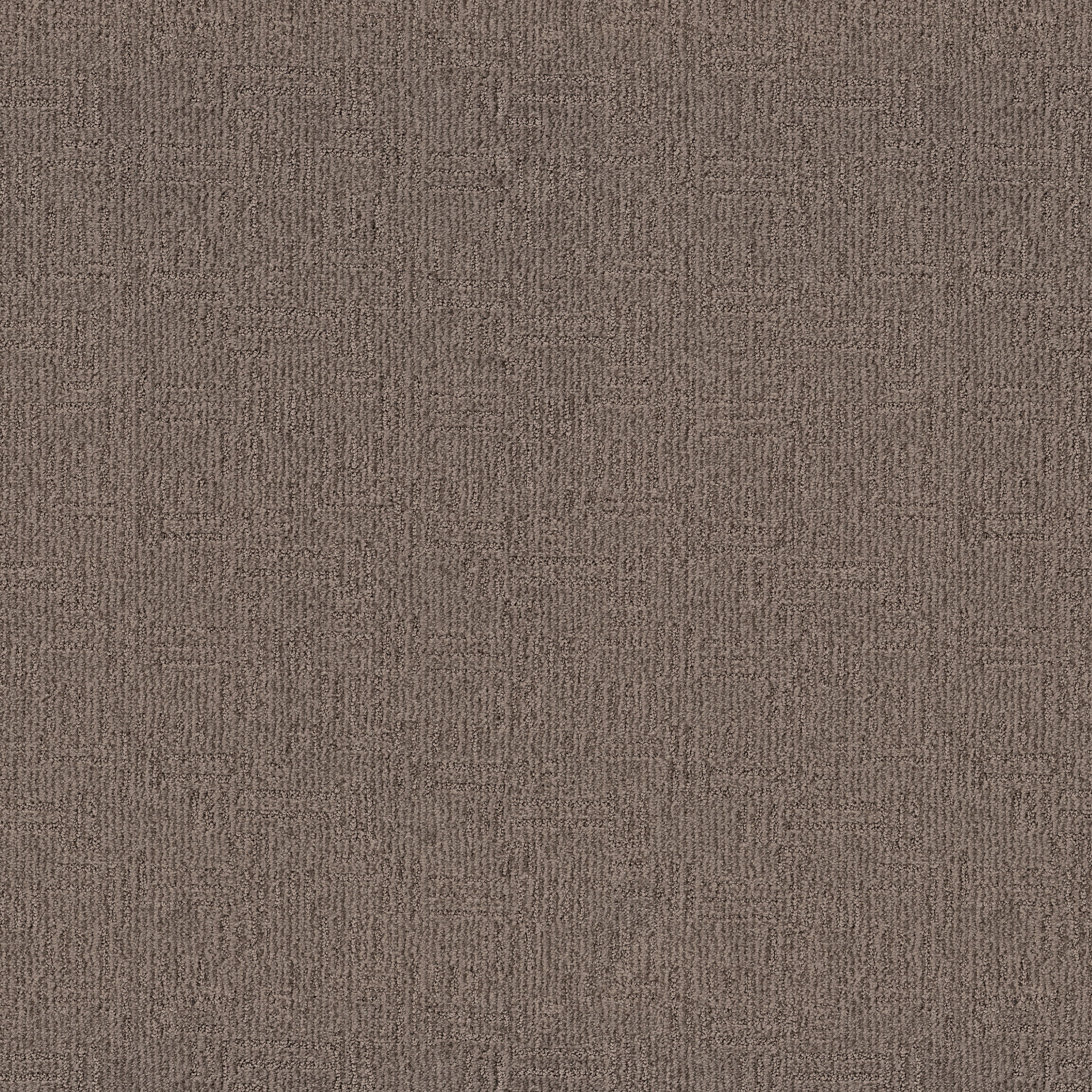 DIEGO STORM CLOUD MAIN