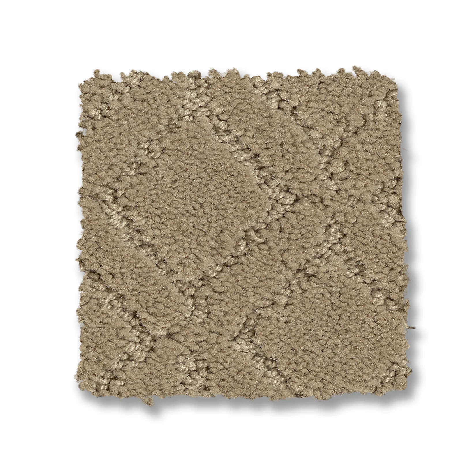 MUSE CORONADO SWATCH