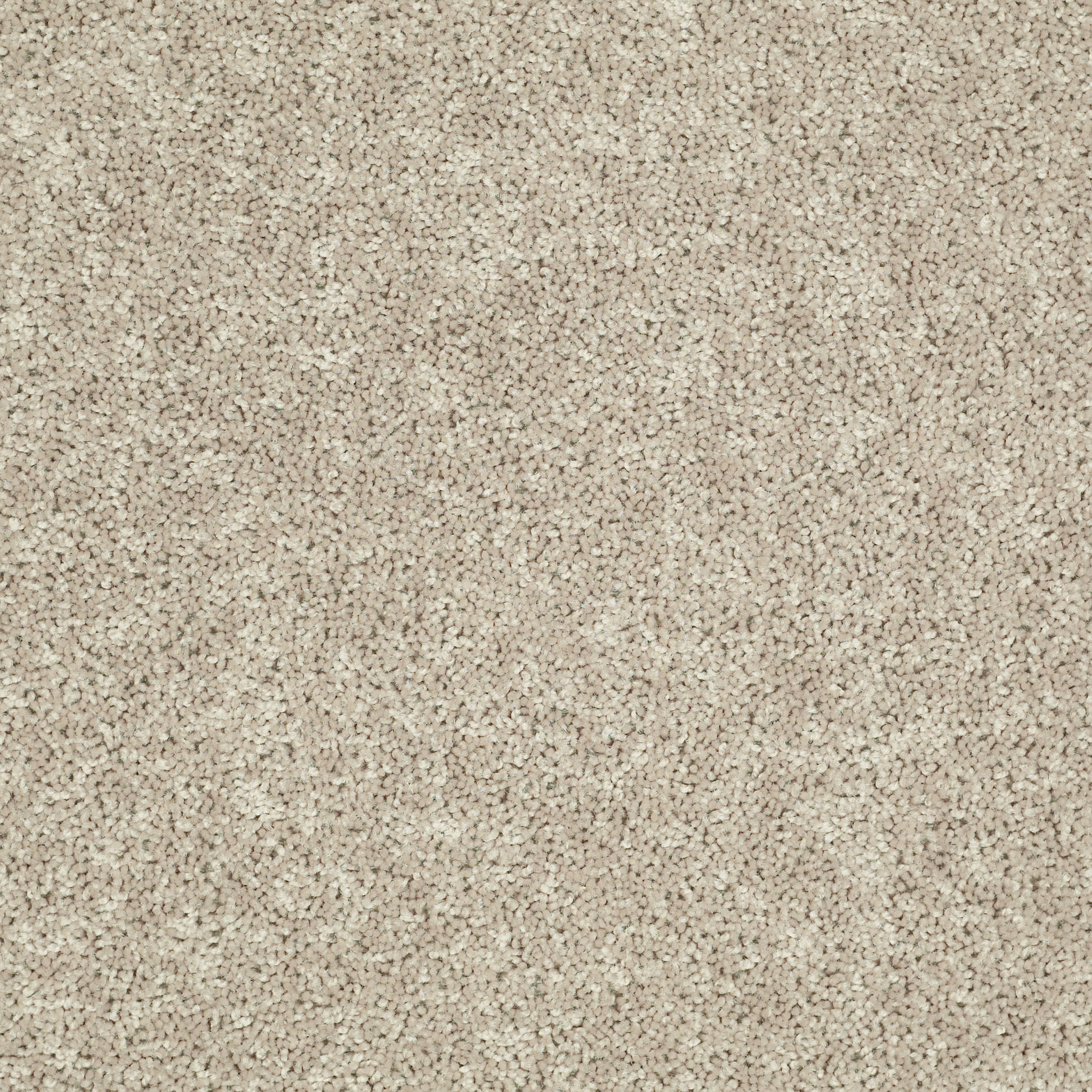 TACTICAL HEARTH MAIN