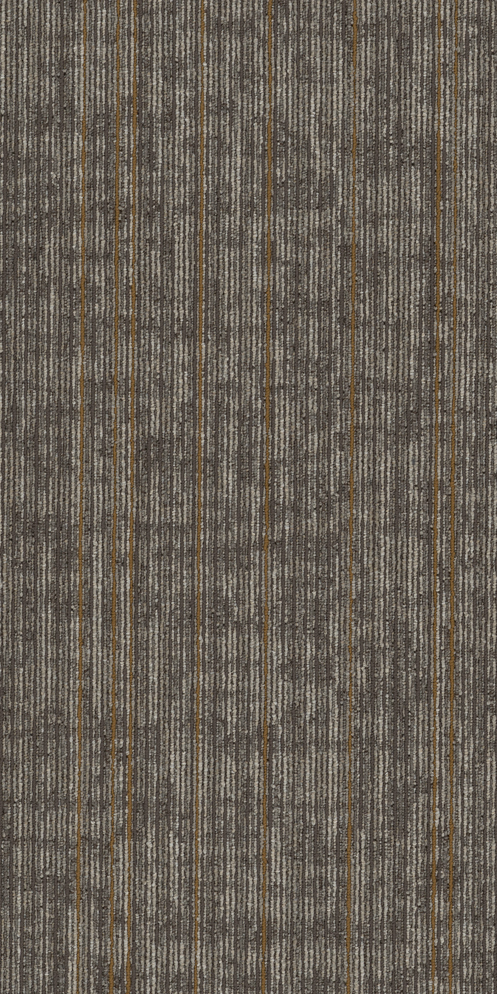 RISE-UP-54997-MOTIVATE-00202-main-image