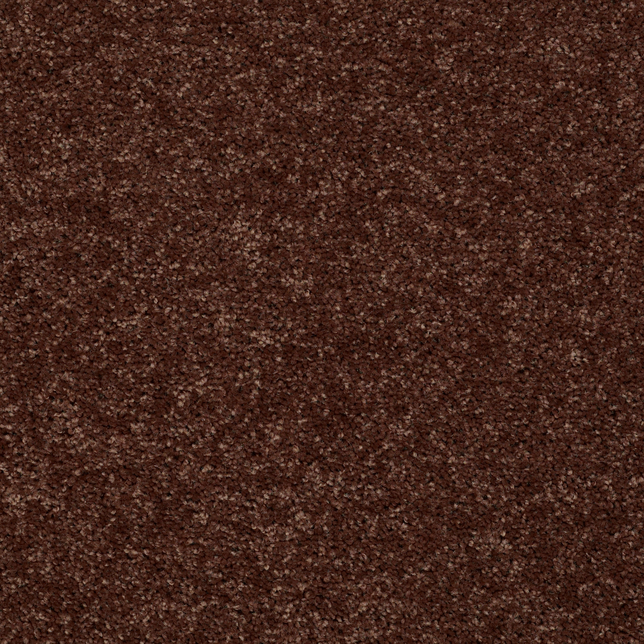 ROYAL PORTRUSH I 15 FLOWER POT MAIN