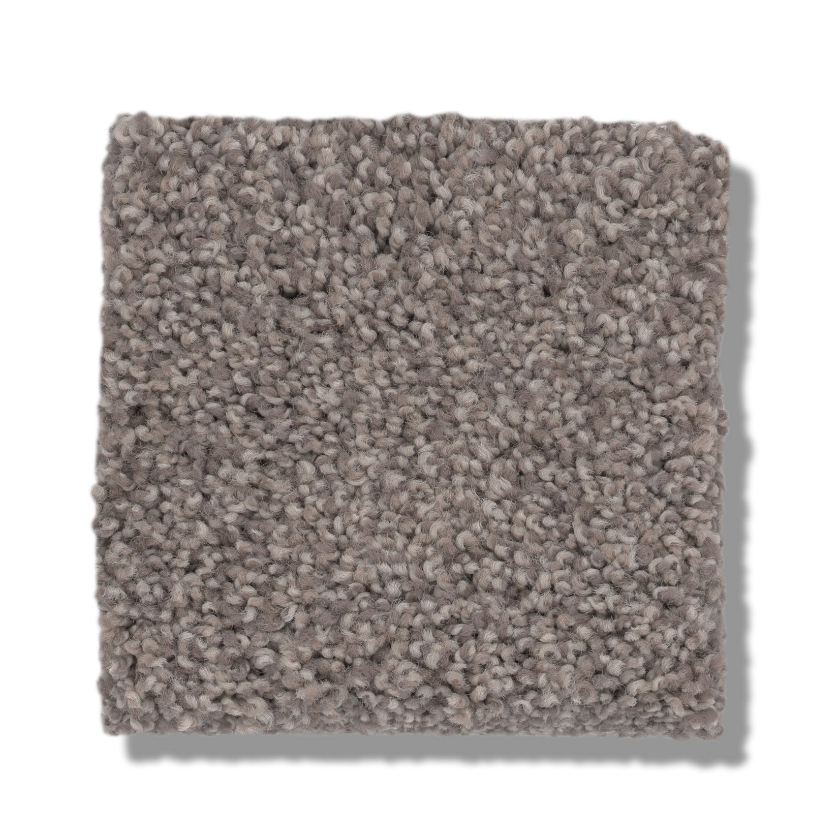 COZY HARBOR I RIDGEVIEW SWATCH