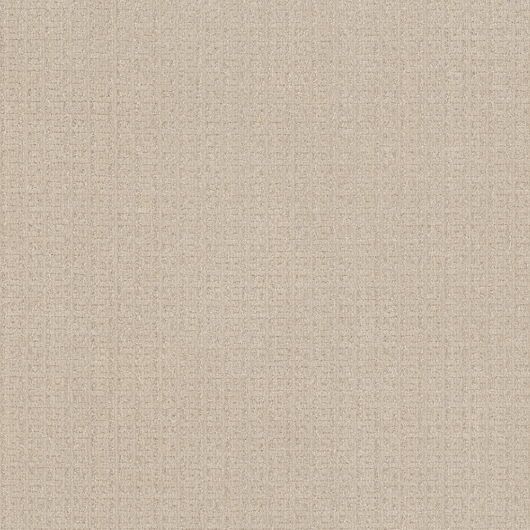 VIGNETTE WHITEWASH MAIN