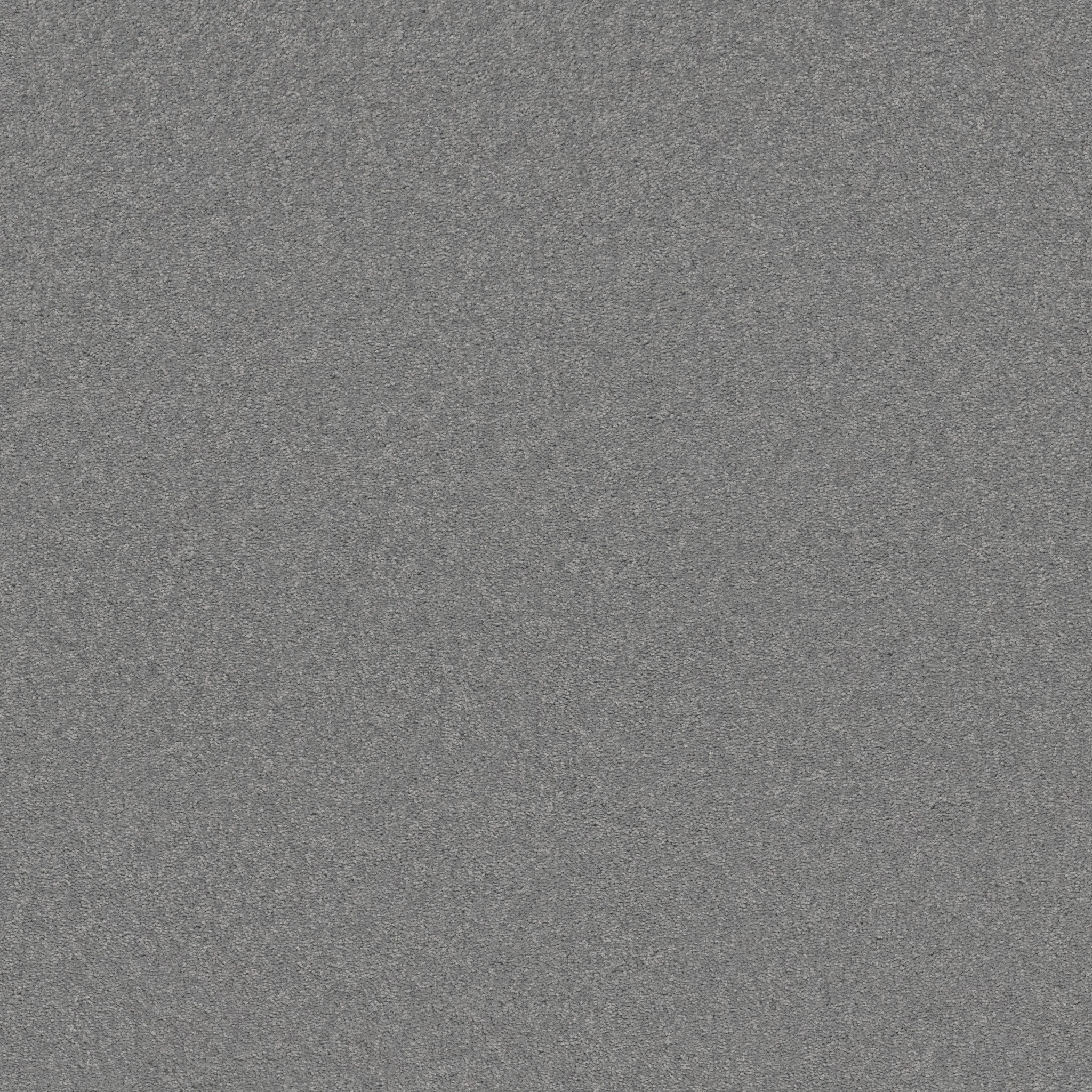 BEAUTIFULLY SIMPLE I 15' SWEET BLUE MAIN