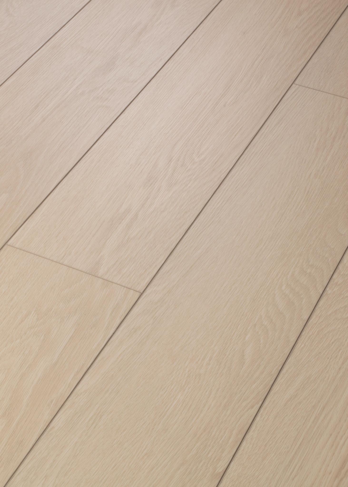 Search Results | Shaw Floors